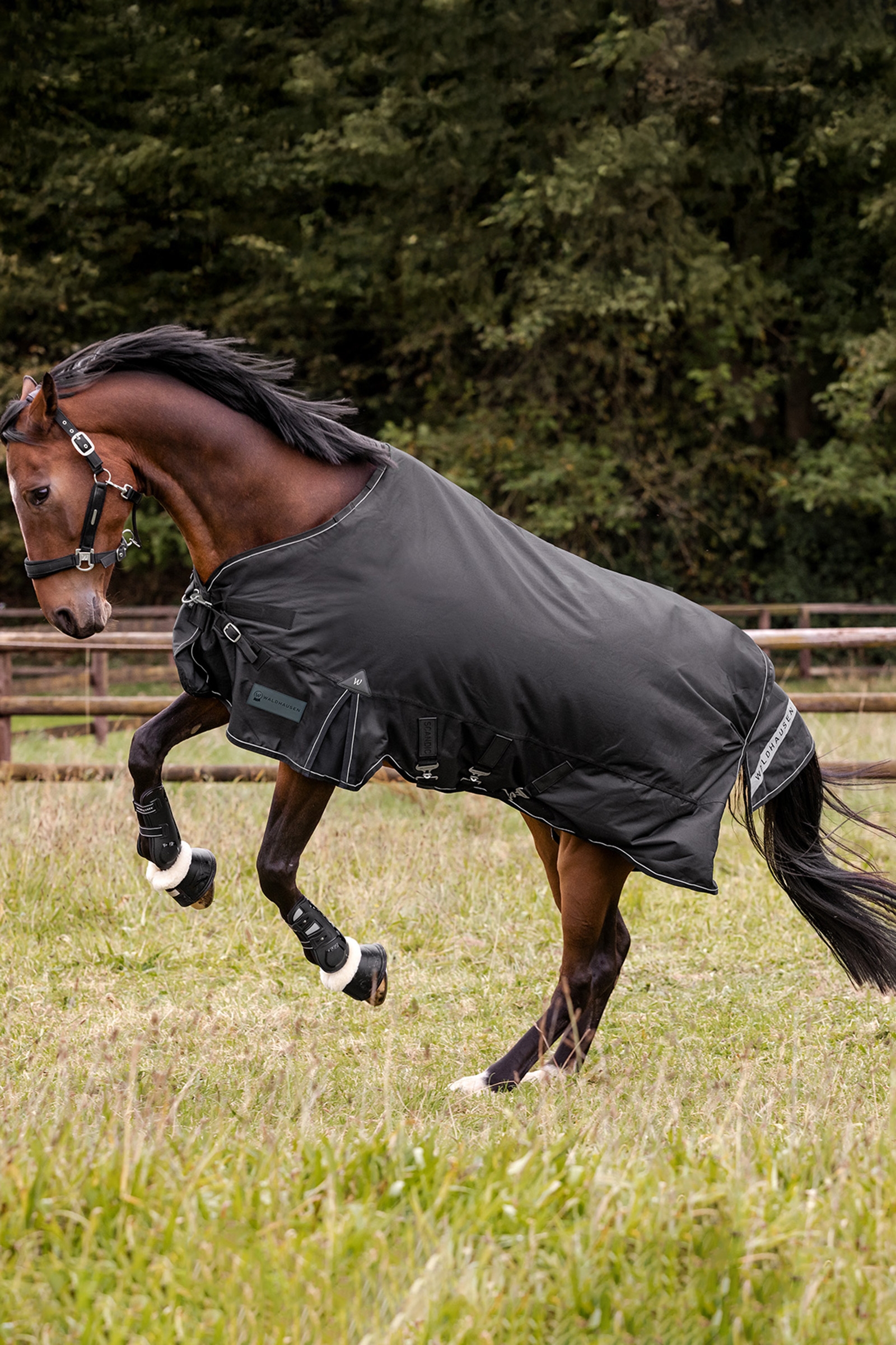 Waldhausen utend&oslash;rsdekken Scandic 50g