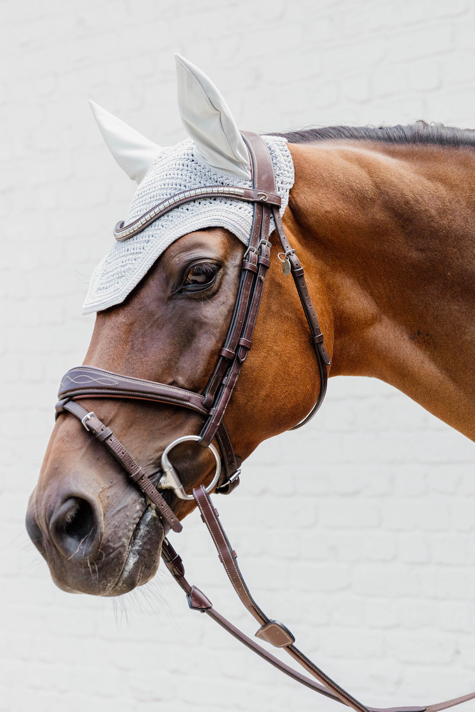 Kentucky Horsewear fluehette Wellington Diamond Rope Soundless