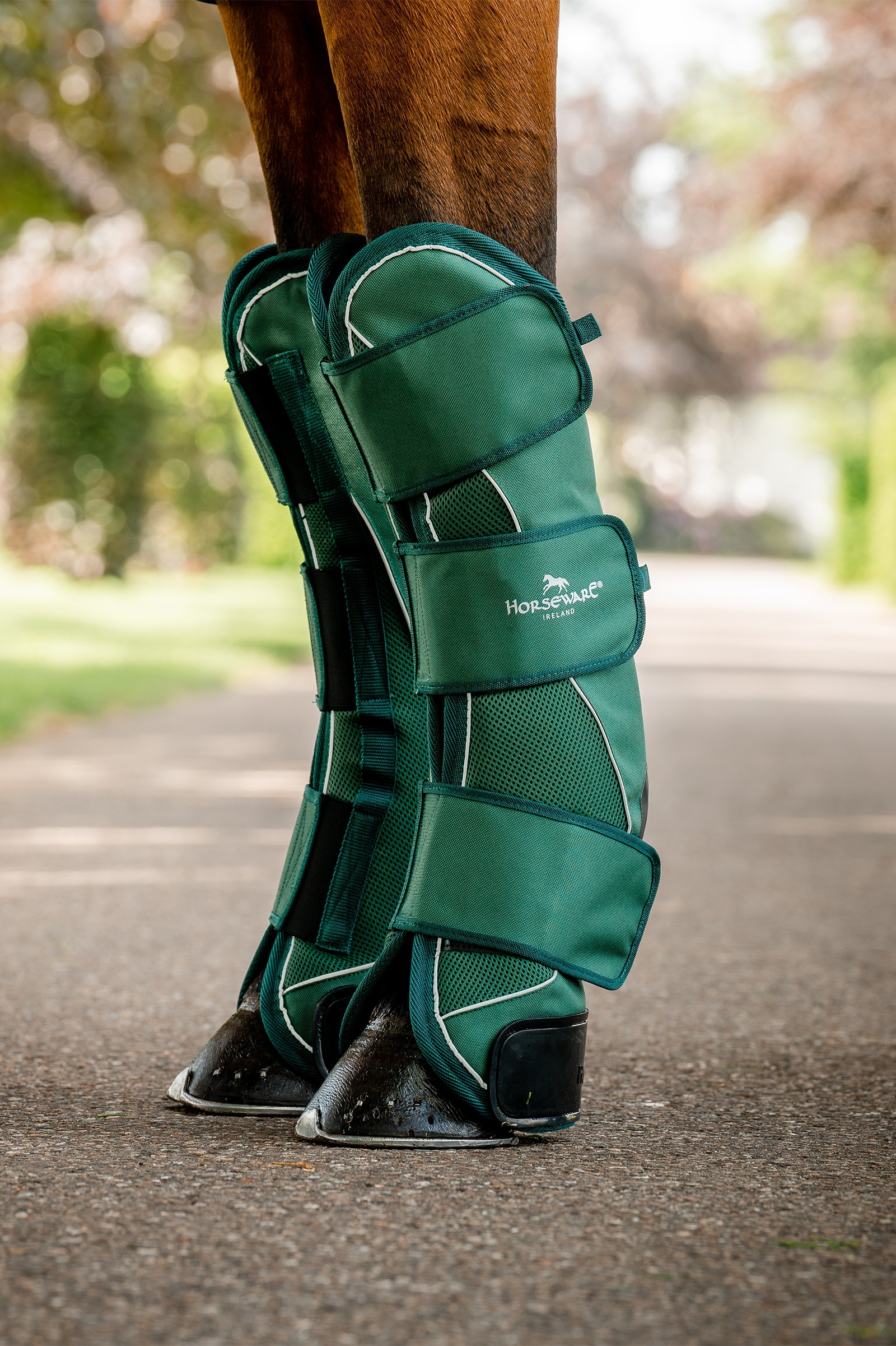 Horseware Signature Transport Beinskyttere