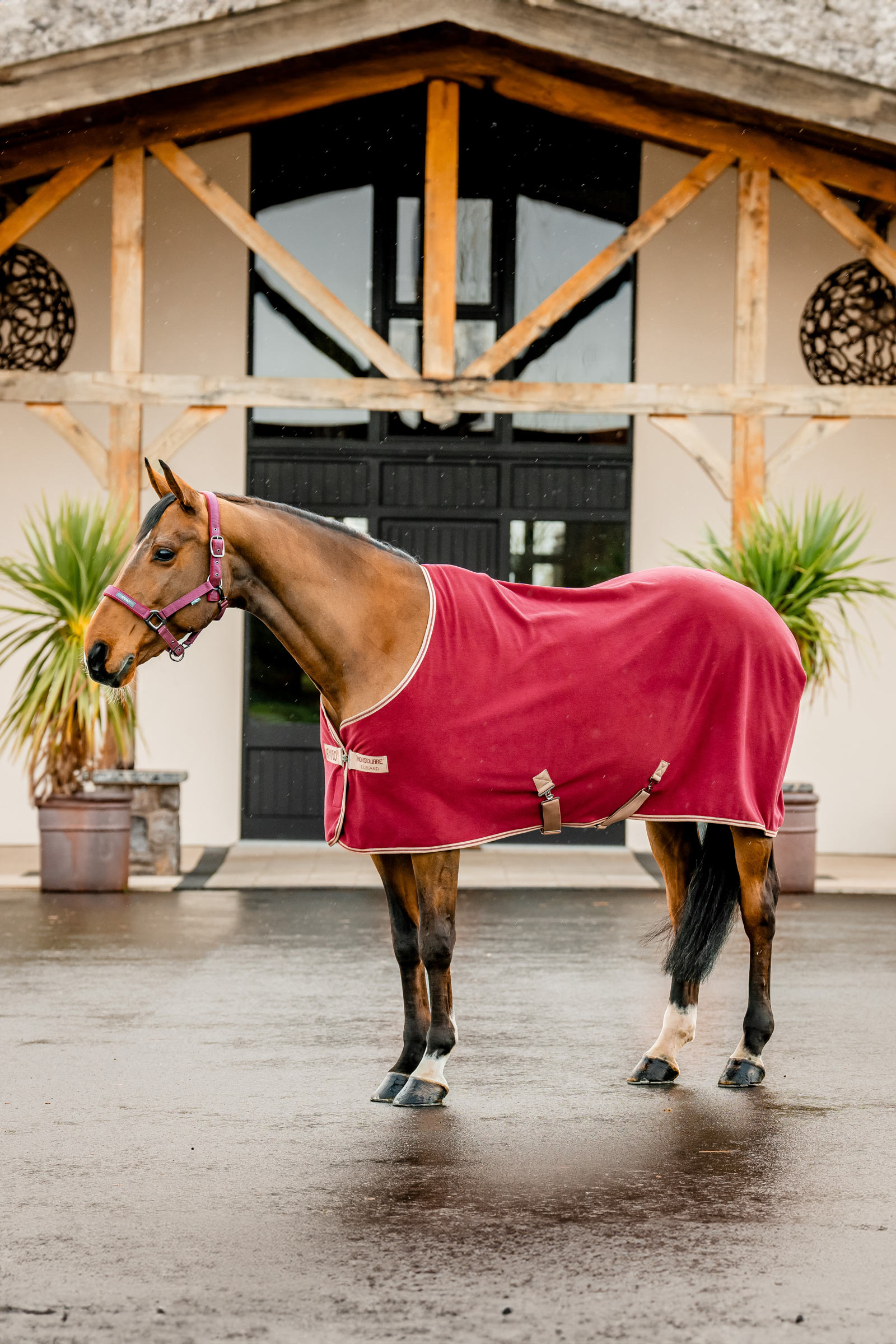 Horseware Amigo Fleece Cooler