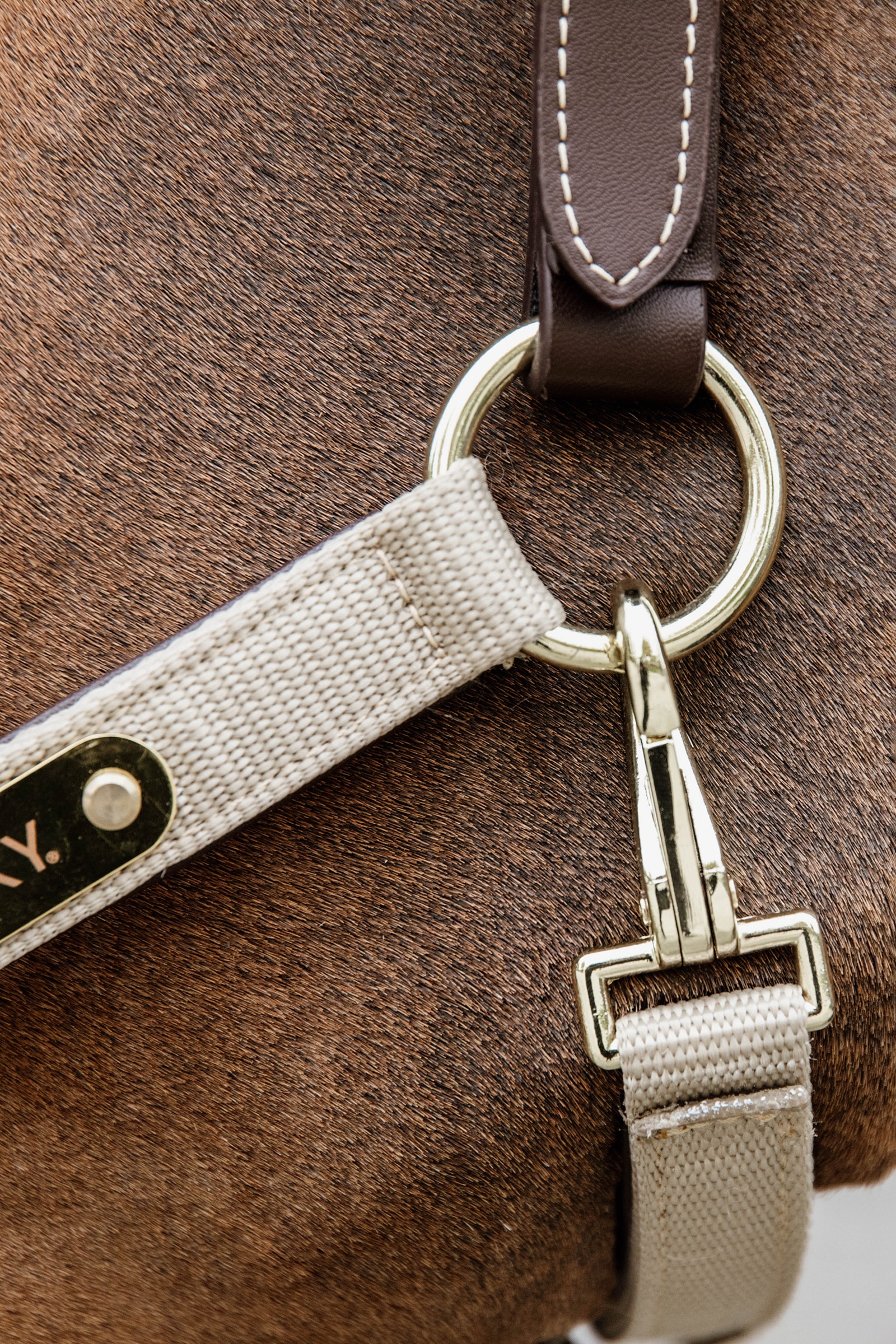 Kentucky Horsewear anatomisk nylongrime