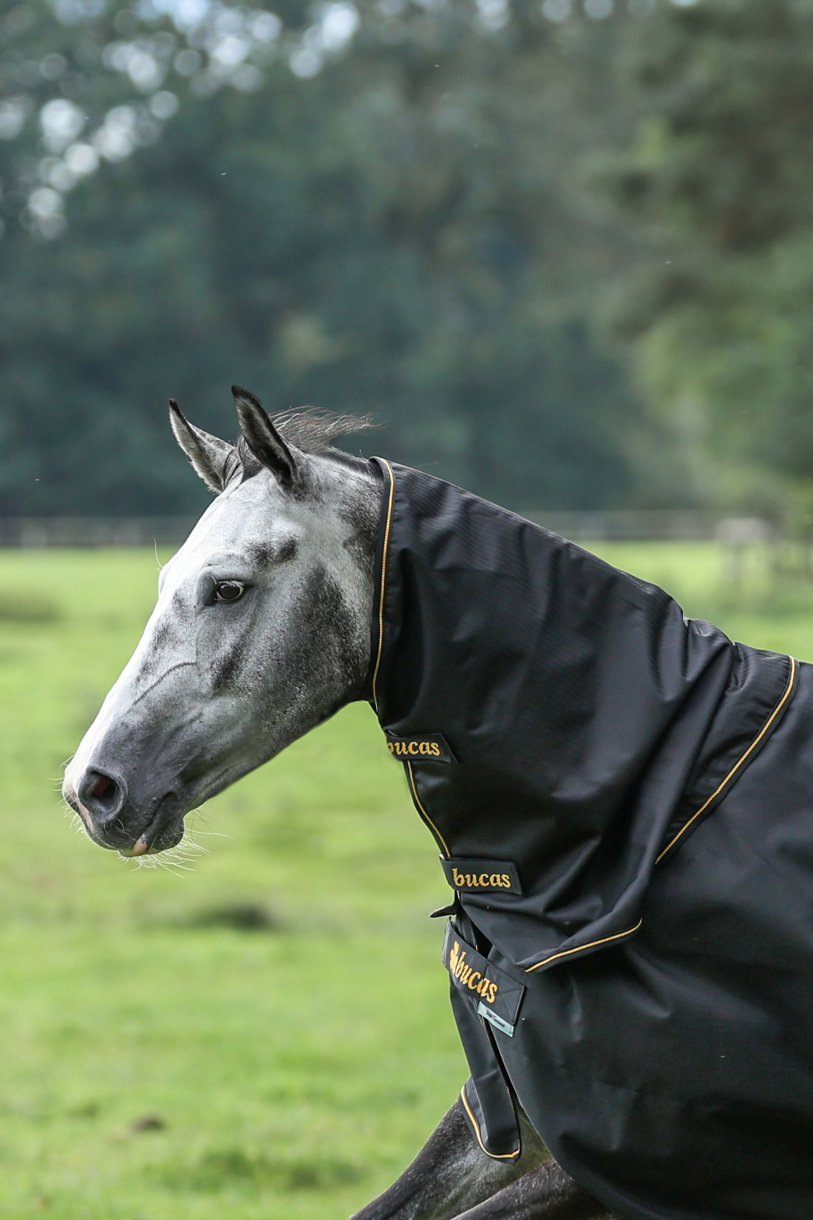 Bucas Irish Turnout halestykke, 0g