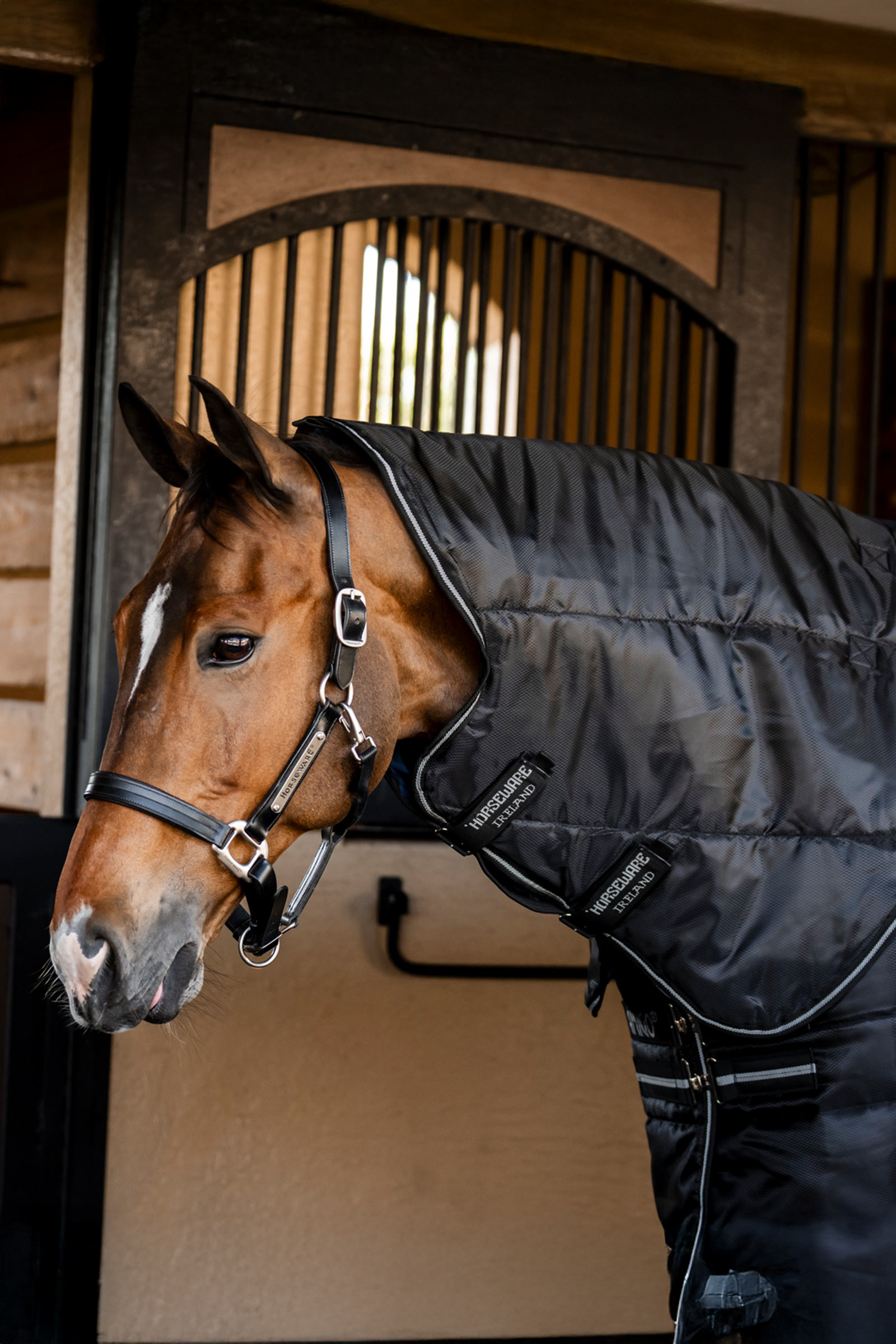 Horseware Amigo Ripstop Insulator Plus stalldekken, 350 g