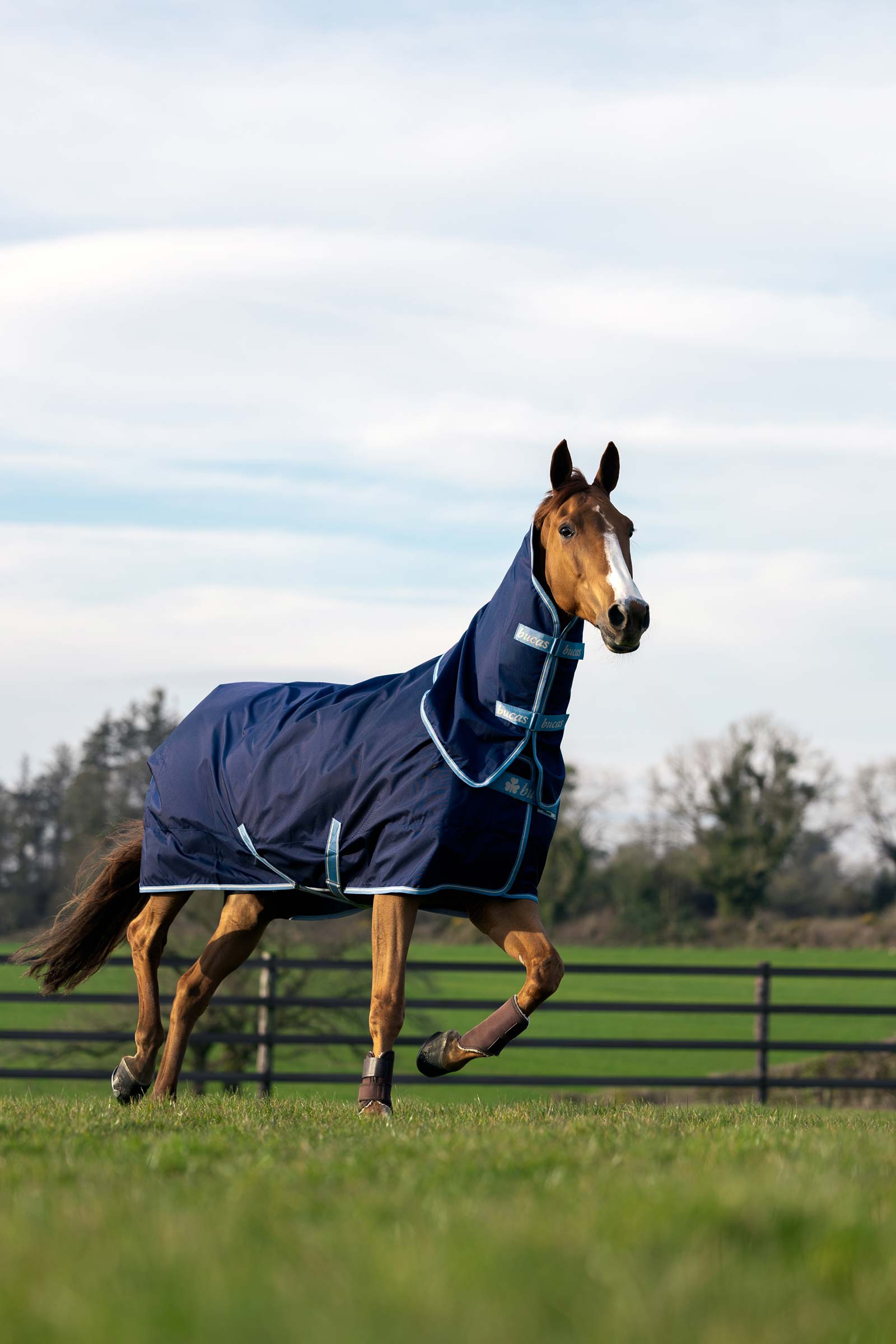 Bucas Atlantic Exclusive dekken- og halssett, 0 g