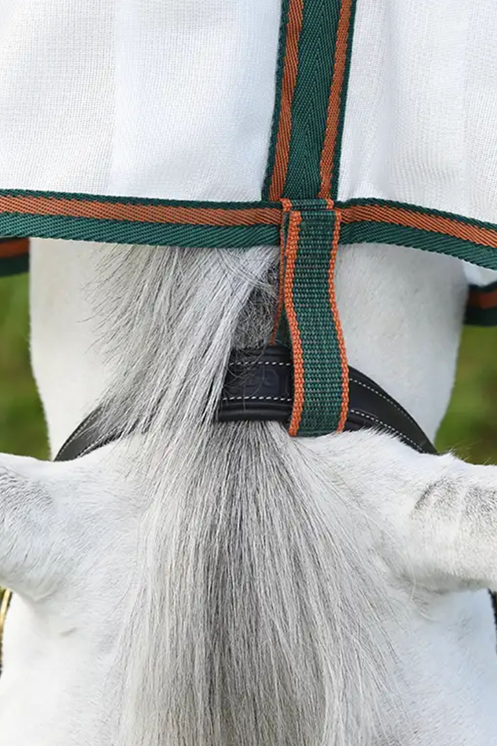 Weatherbeeta Comfitec Tyro meshdekken med hals