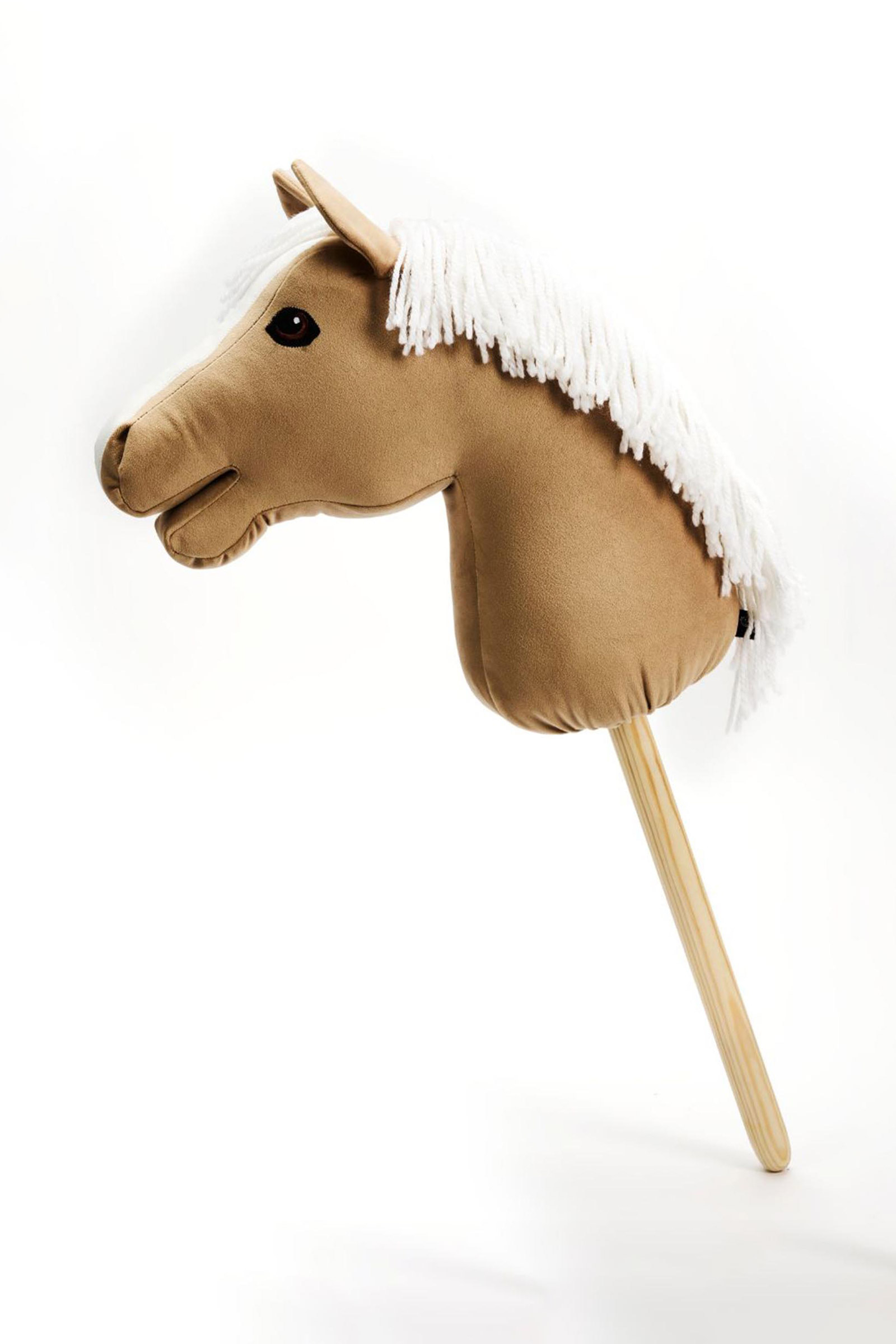 My Hobby Horse Sarmon