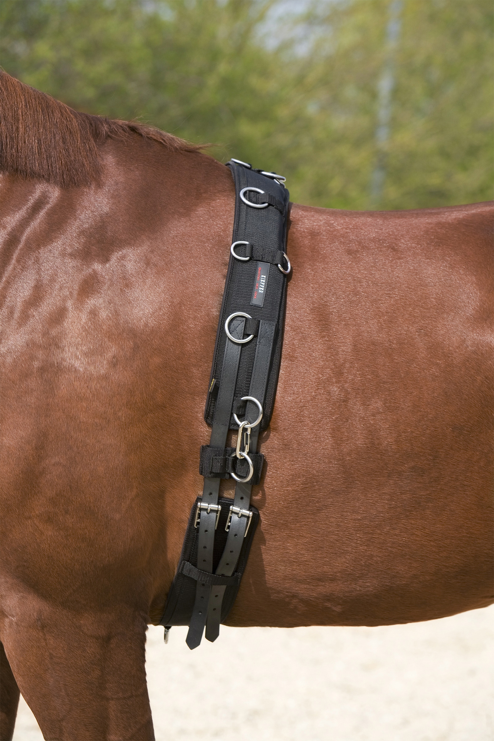 Kieffer longeringsgjord