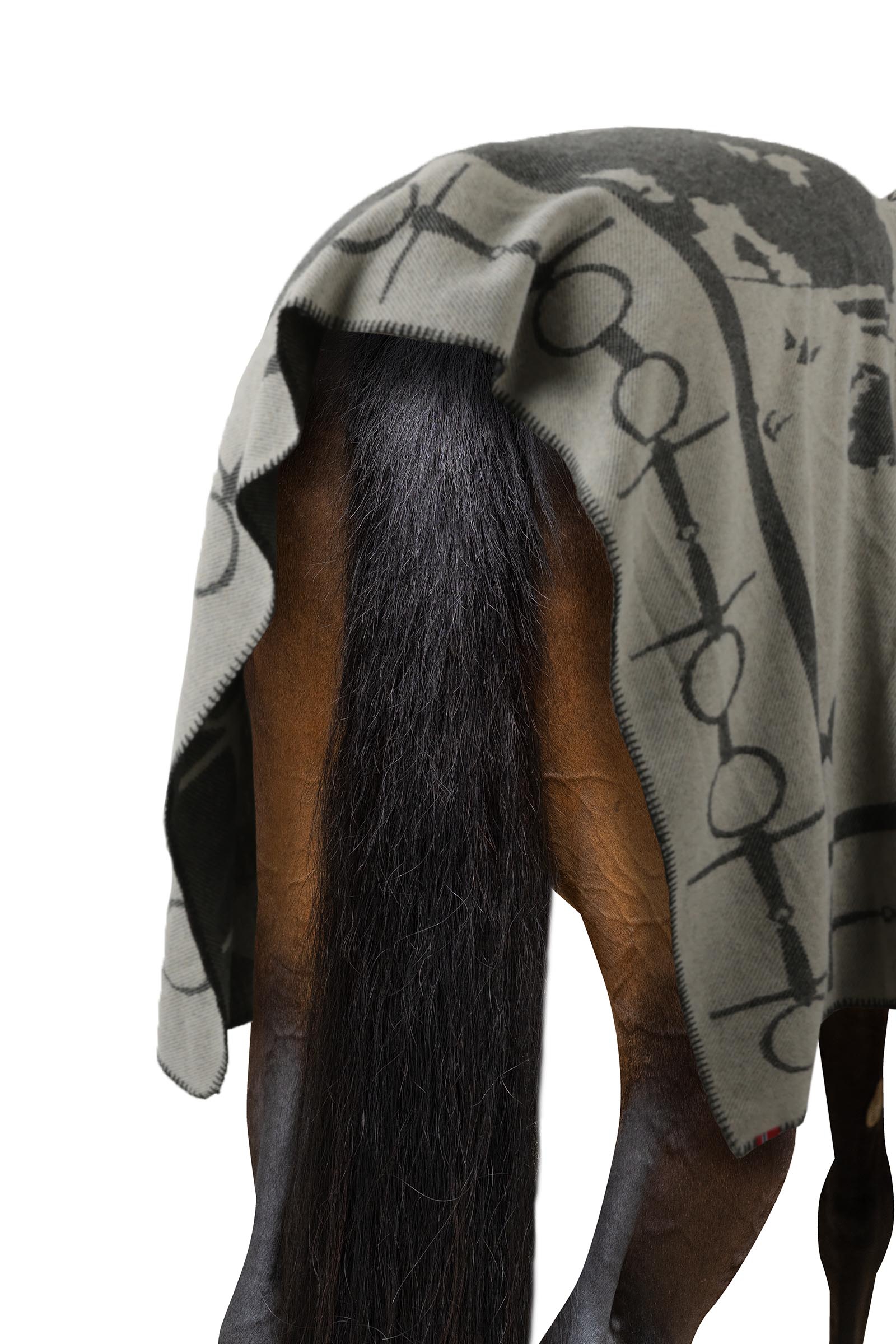 B Vertigo Horse & Bit pledd