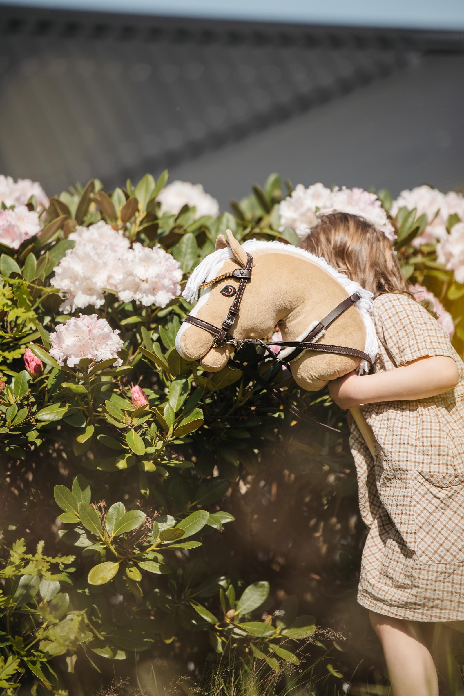 My Hobby Horse l&aelig;rhodelag med steiner