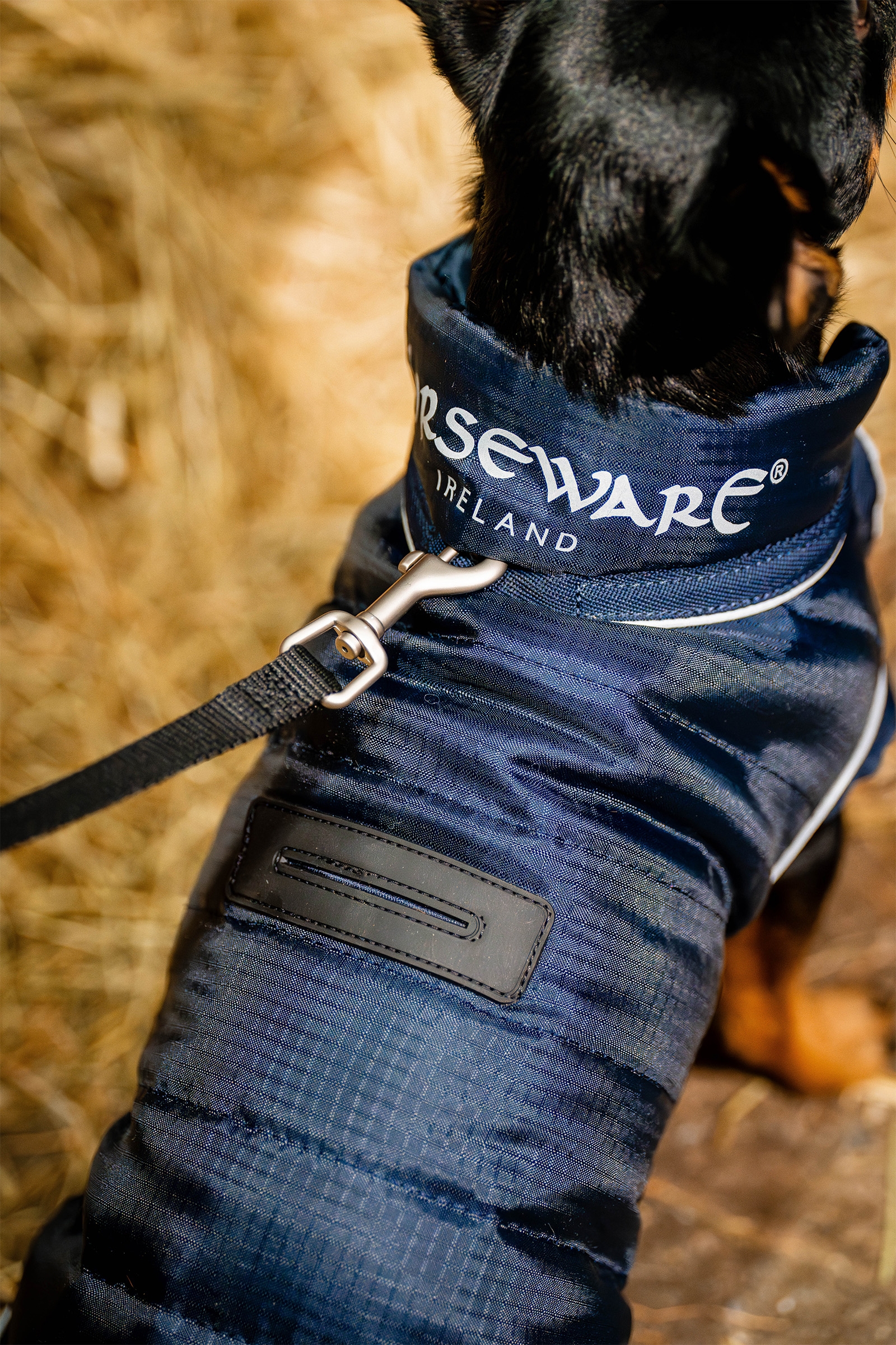 Horseware Signature Hundekappe