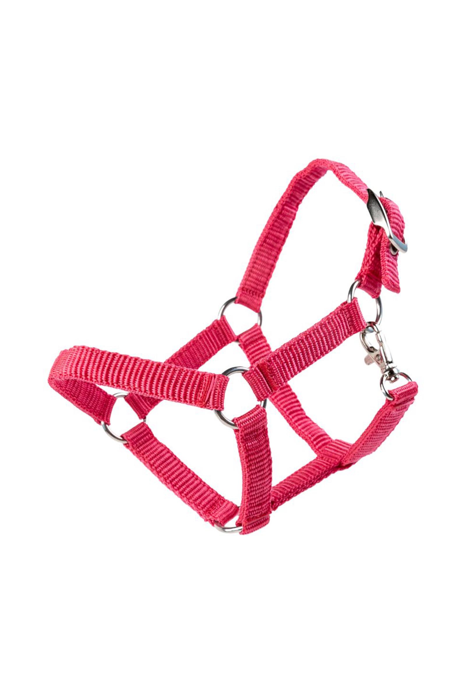 My Hobby Horse nylon grime