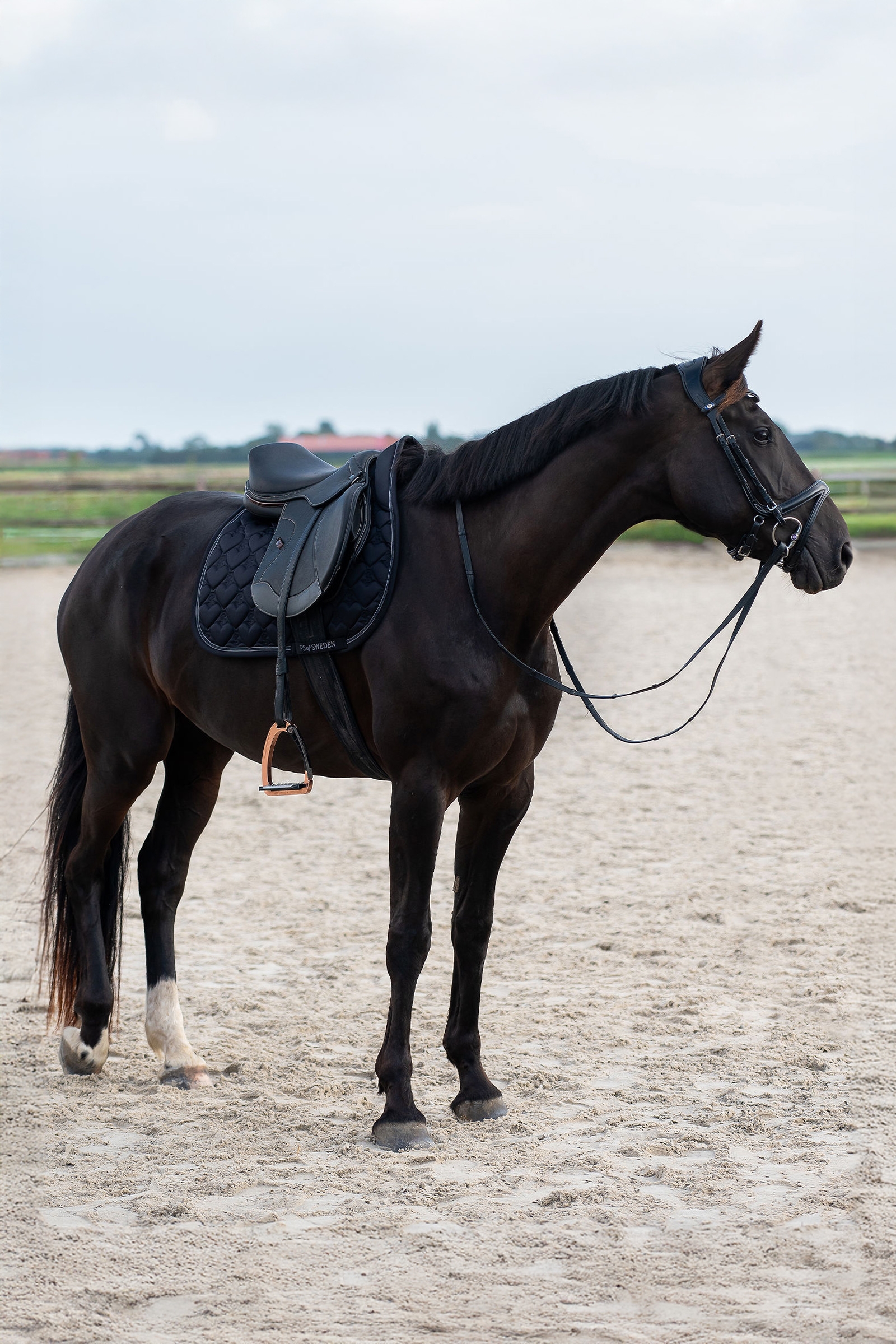 PS of Sweden hjerte sprangsjabrak