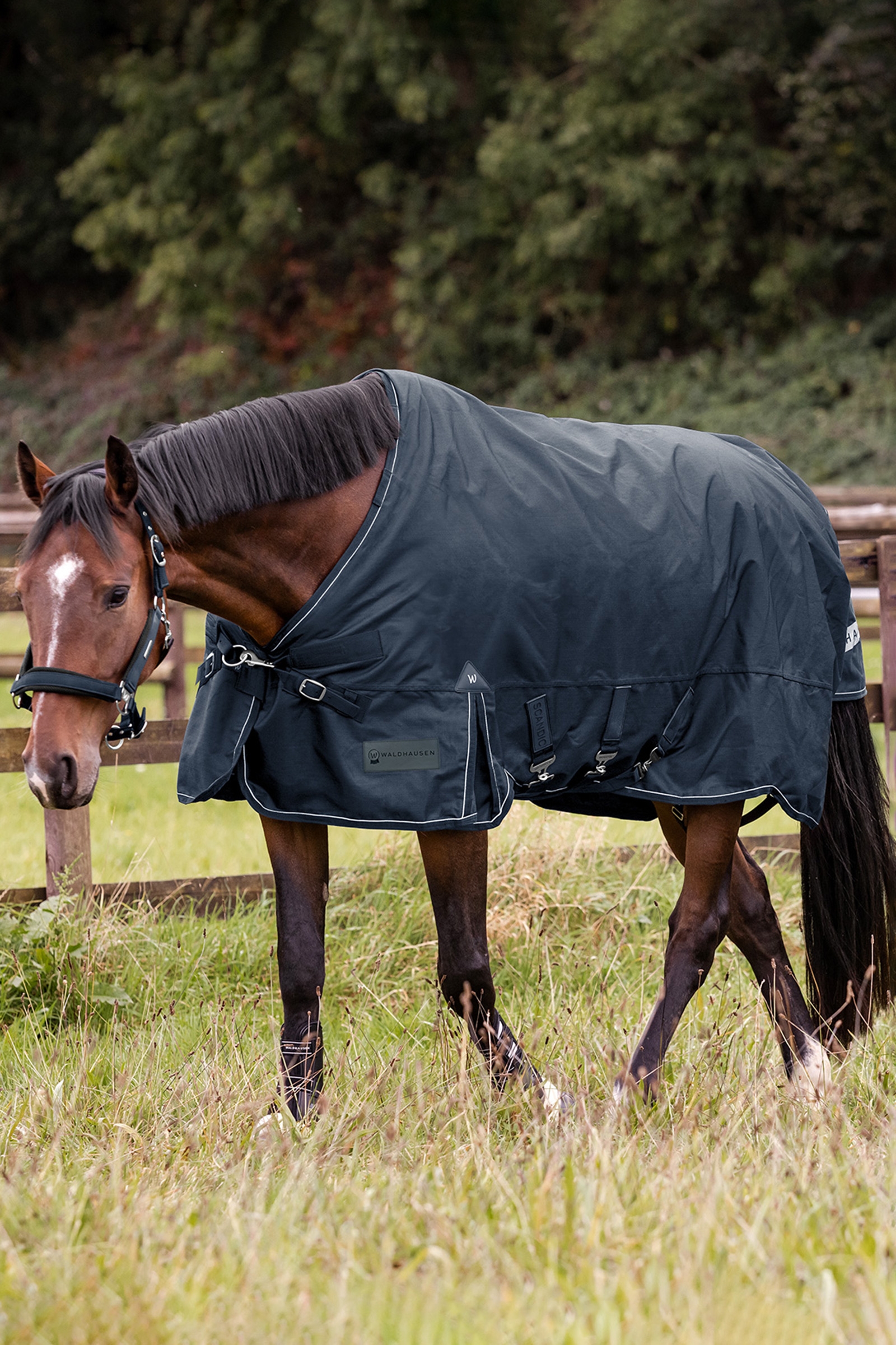 Waldhausen utend&oslash;rsteppe Scandic flerlag 150g/50g