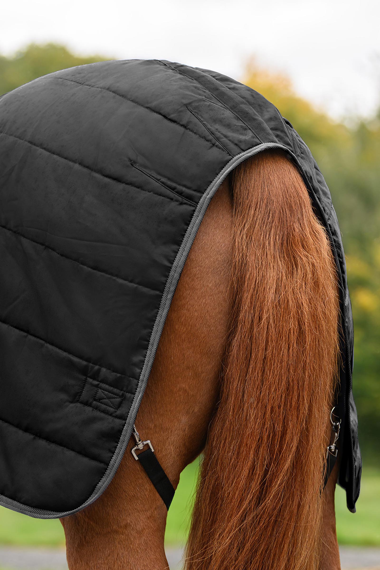 Waldhausen ECONOMIC stalldekken, 100g