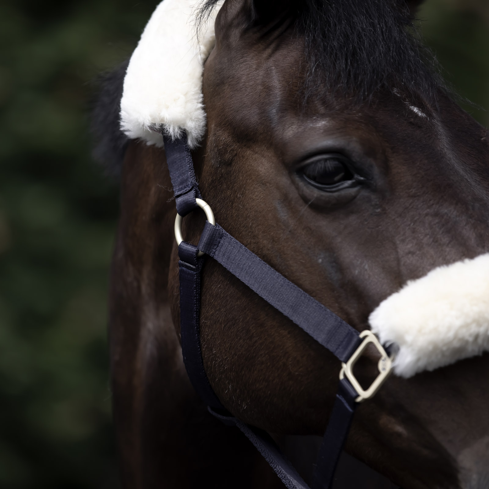 B Vertigo Laurier grime med saueskinn