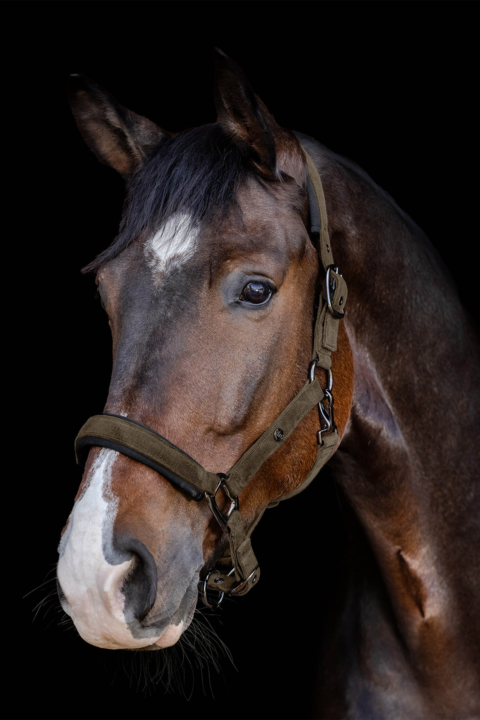 Waldhausen St. Gallen Grime