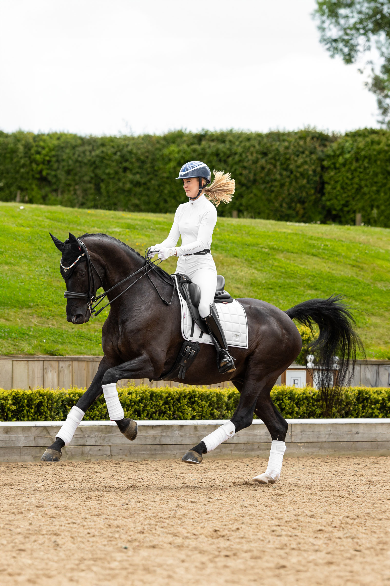LeMieux Loire klassisk firkantet dressur salunderlag