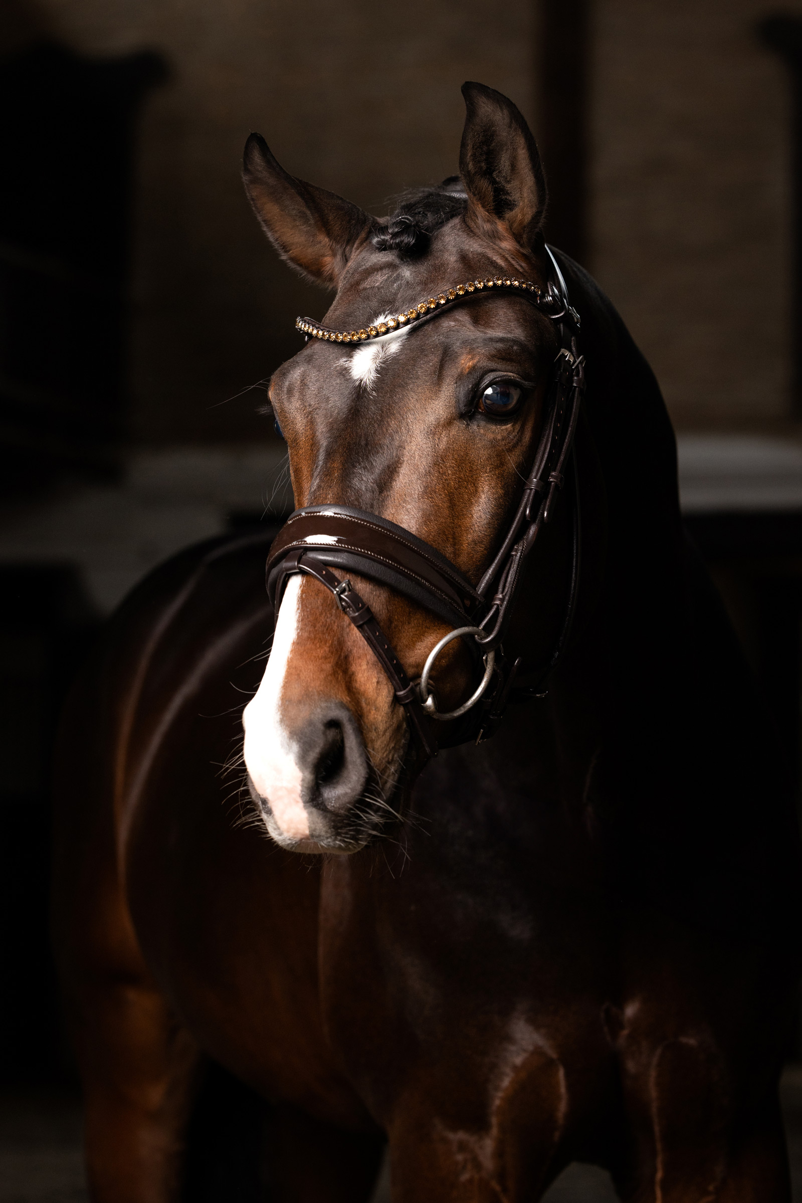 LeMieux Kudos Dressurhodelag i Patentlær