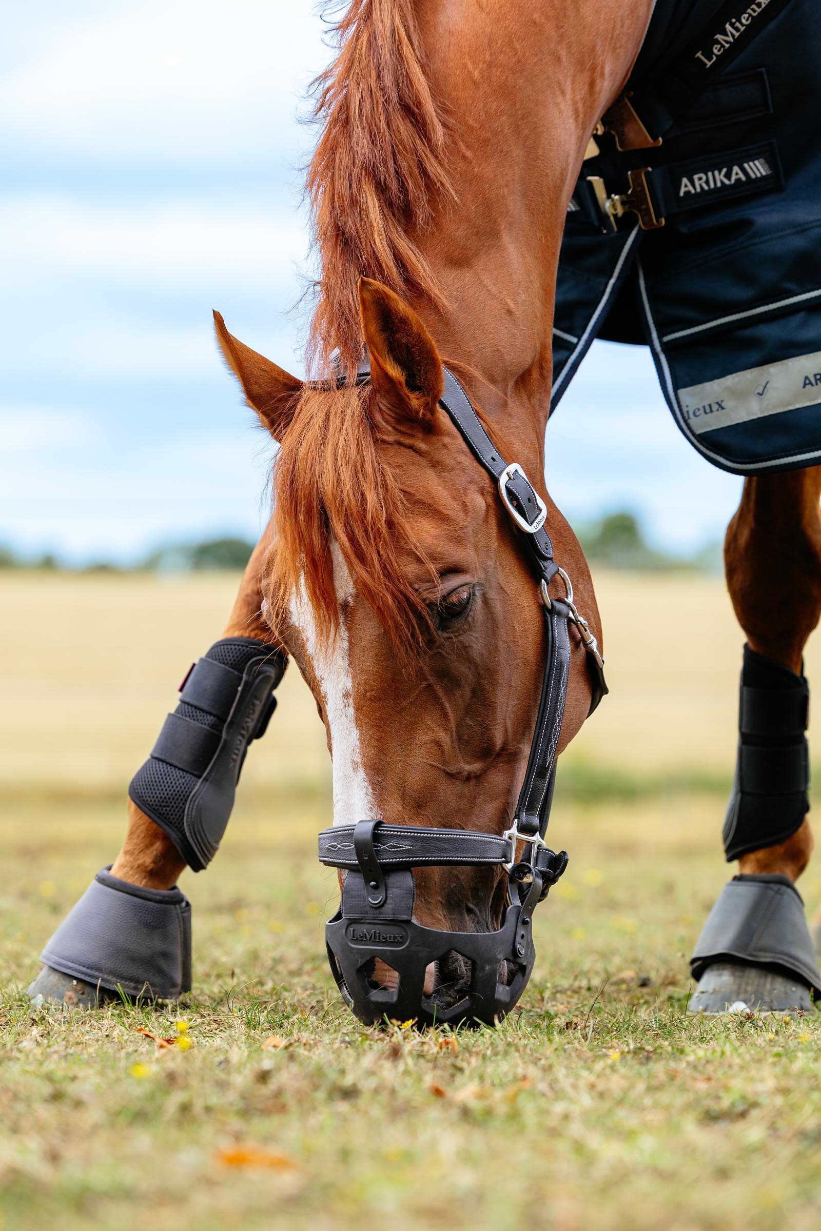 LeMieux Noma beitemunnkurv