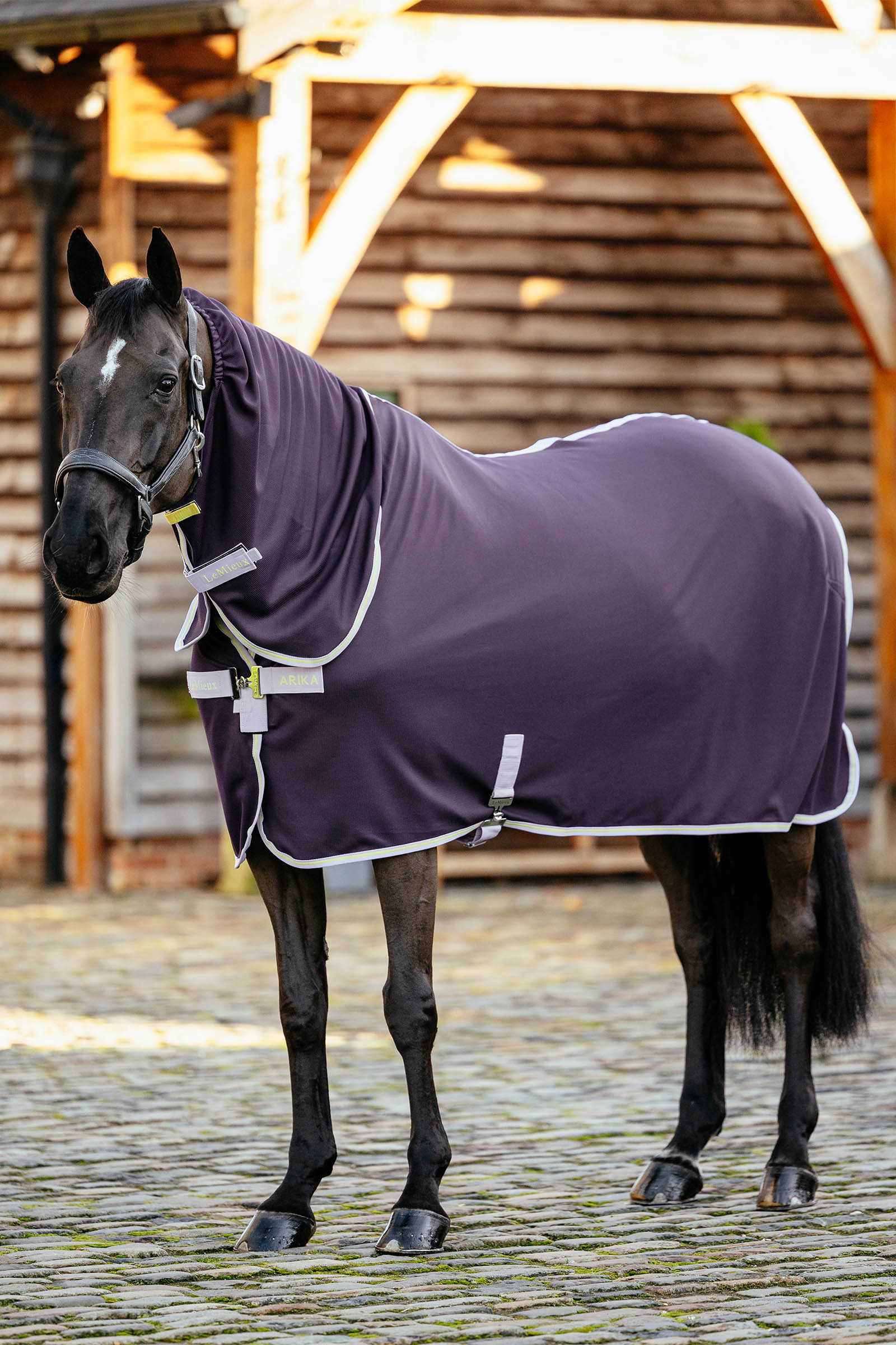 Juniper LeMieux Arika DryEase-teppet