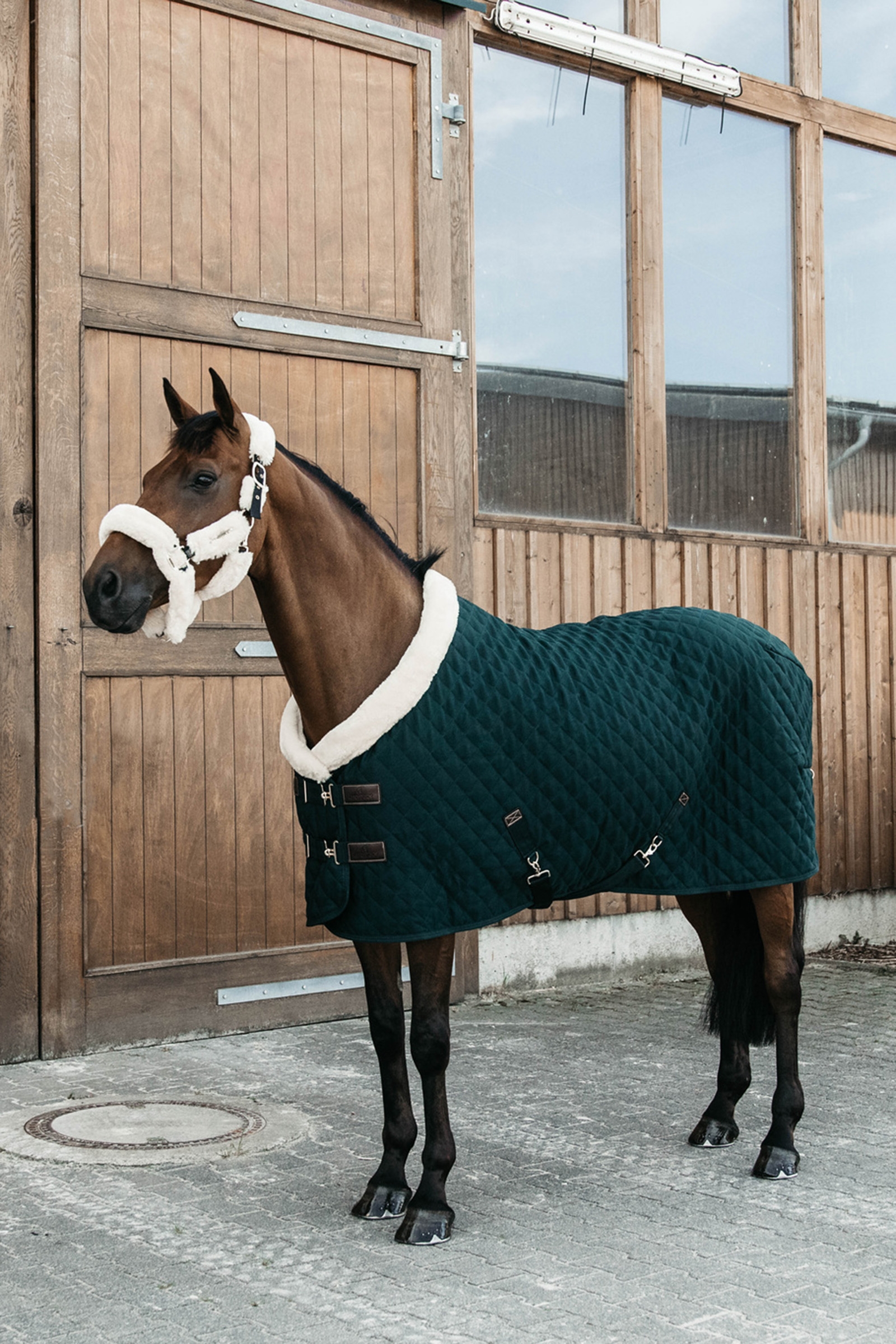 Dark Green Kentucky Horsewear stevnedekken, 160 gram