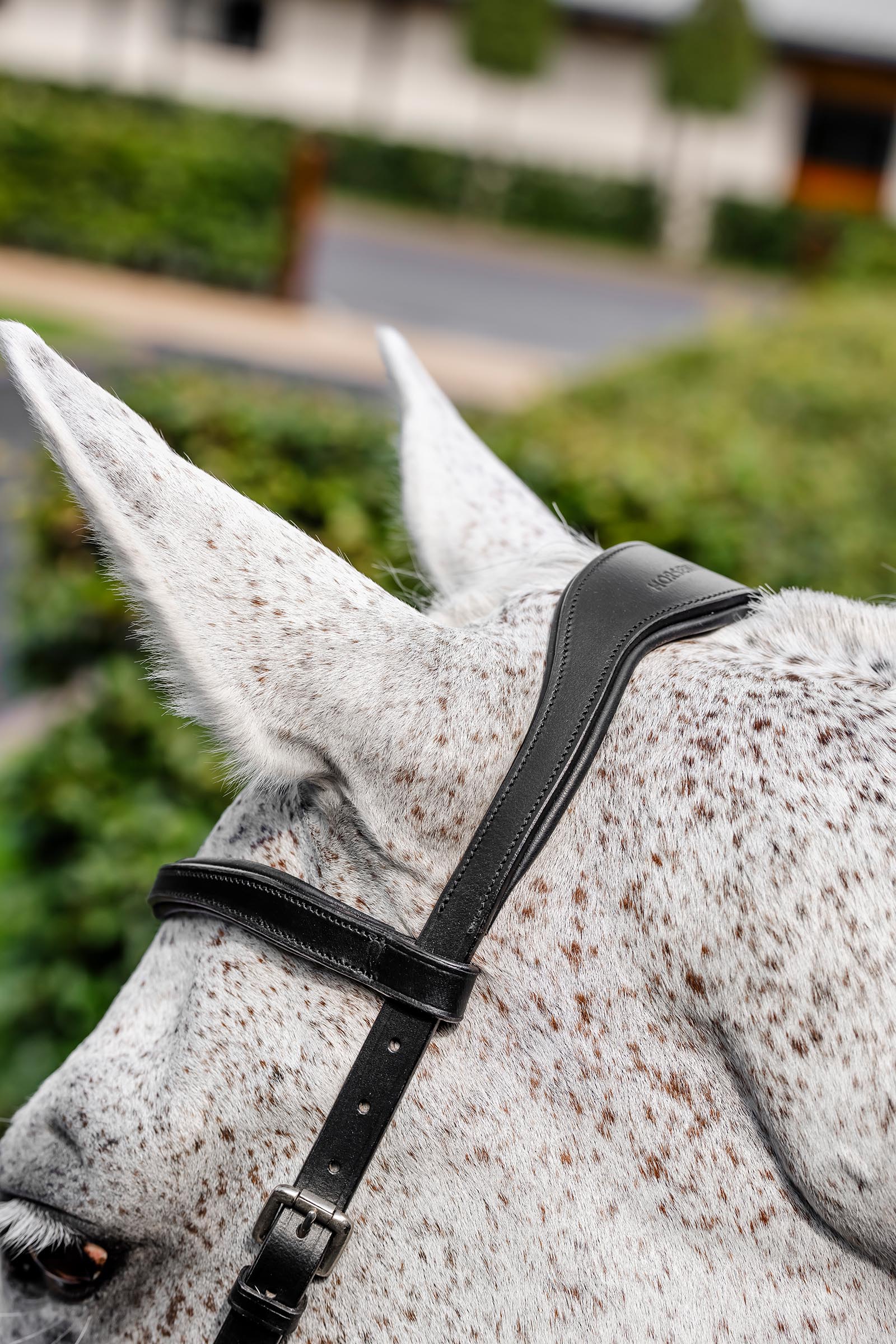 Horseware Rambo Micklem stevnehodelag