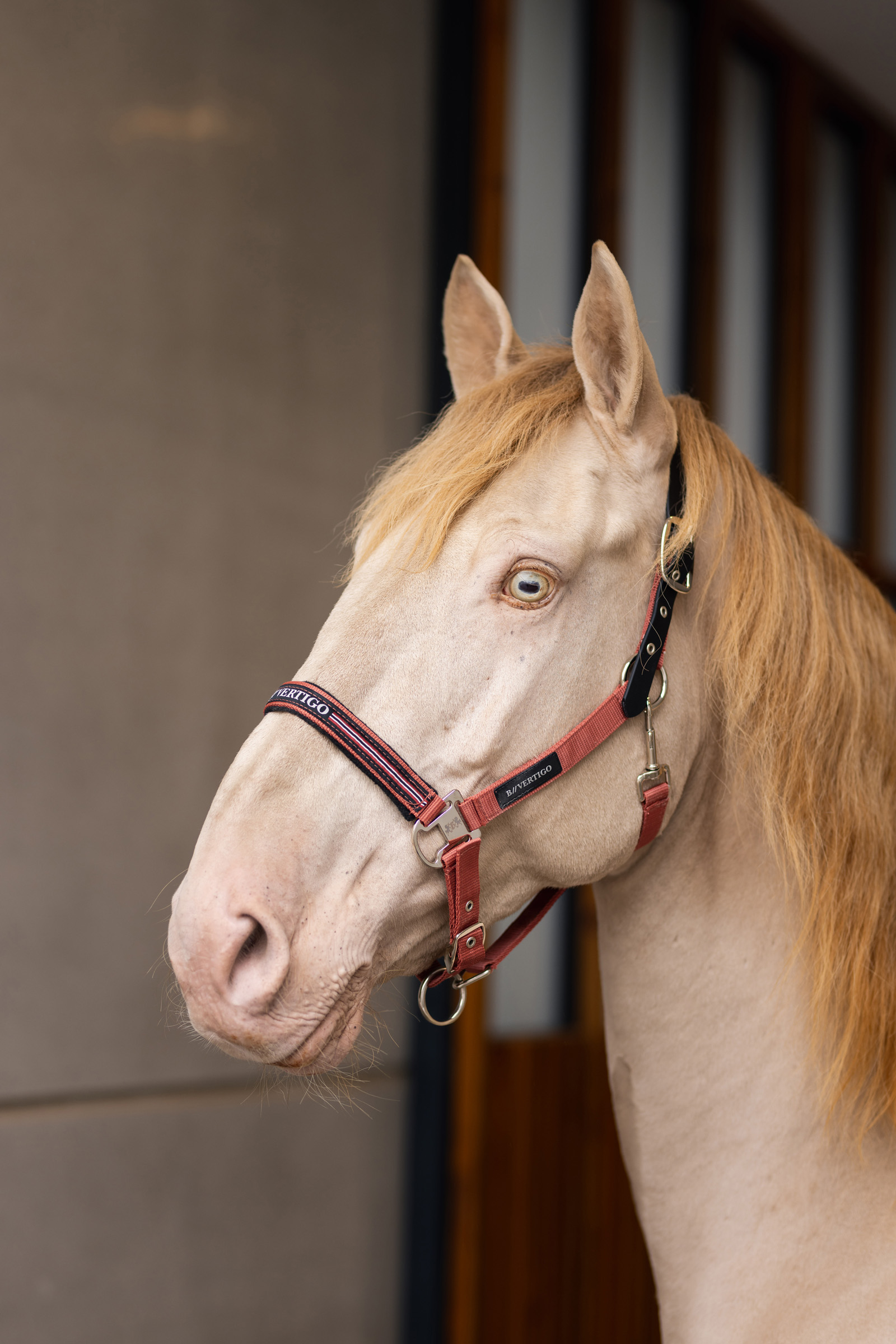 B Vertigo Empowerment Field-Safe grime
