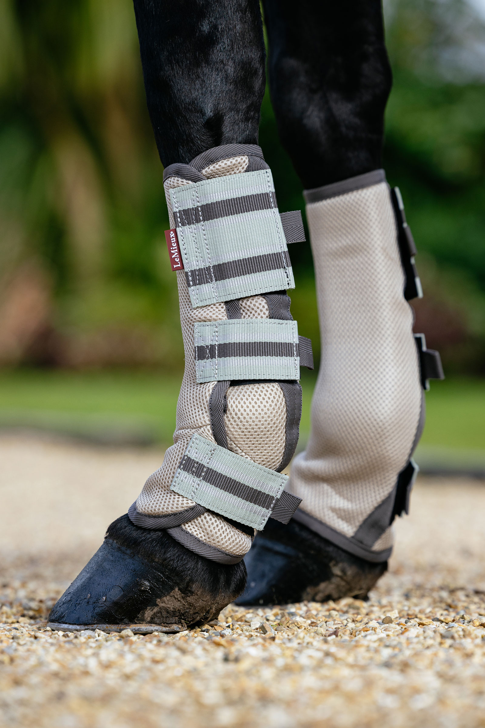 LeMieux Arika mesh fluegamacher sett 4 stk