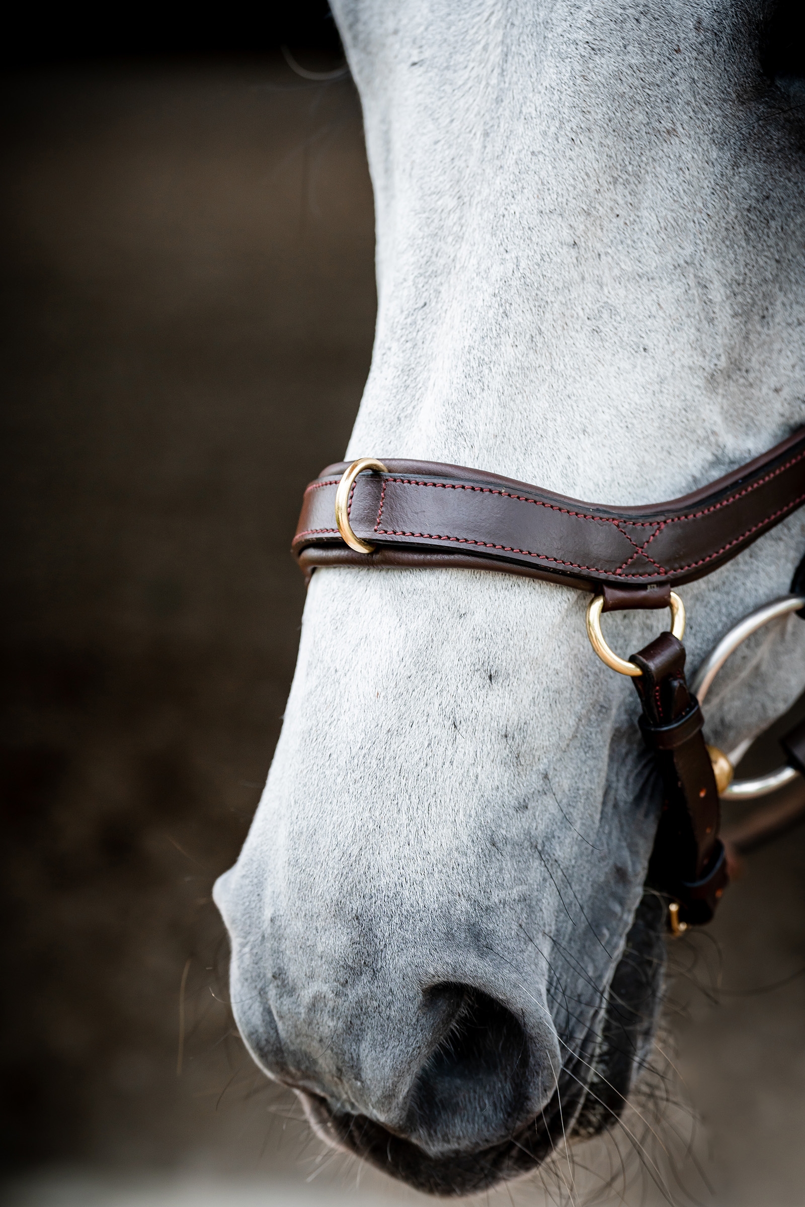 Horseware Micklem 2 Multi Hodelag