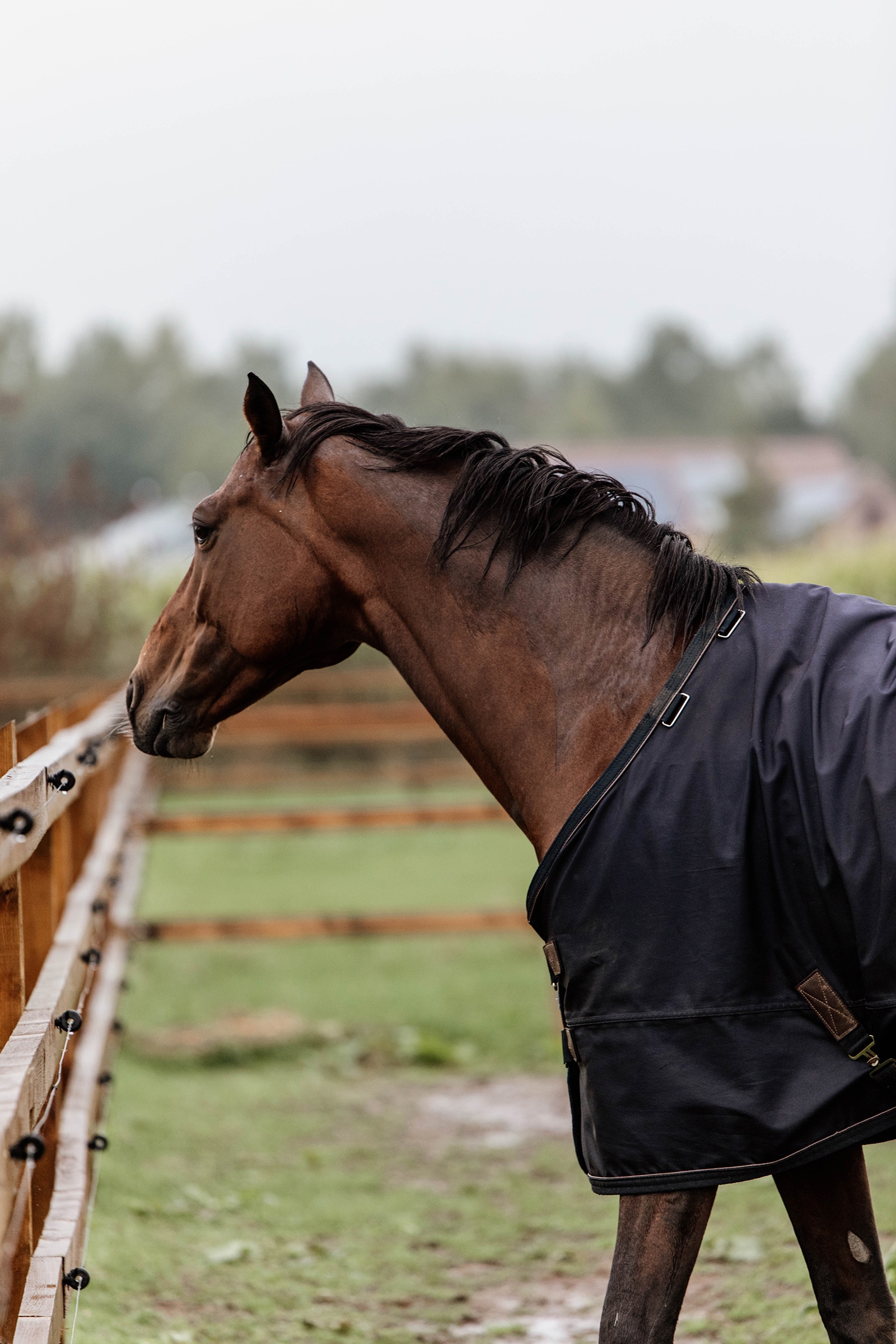 Kentucky Horsewear All Weather utedekken, 300 gram