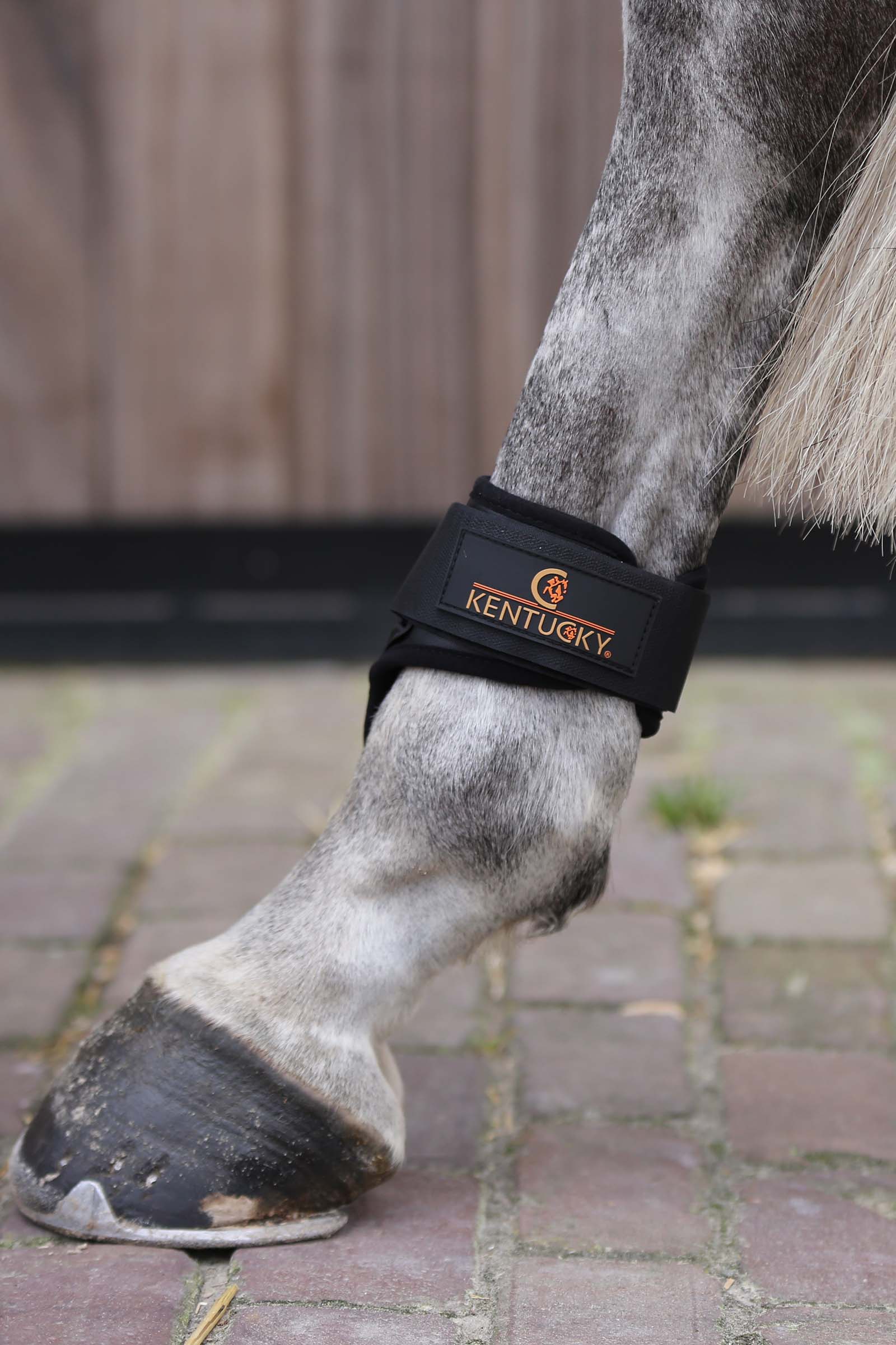 Kentucky Horsewear bakbeinsbelegg til unghest