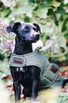 Kentucky Dogwear vanntett hundedekken