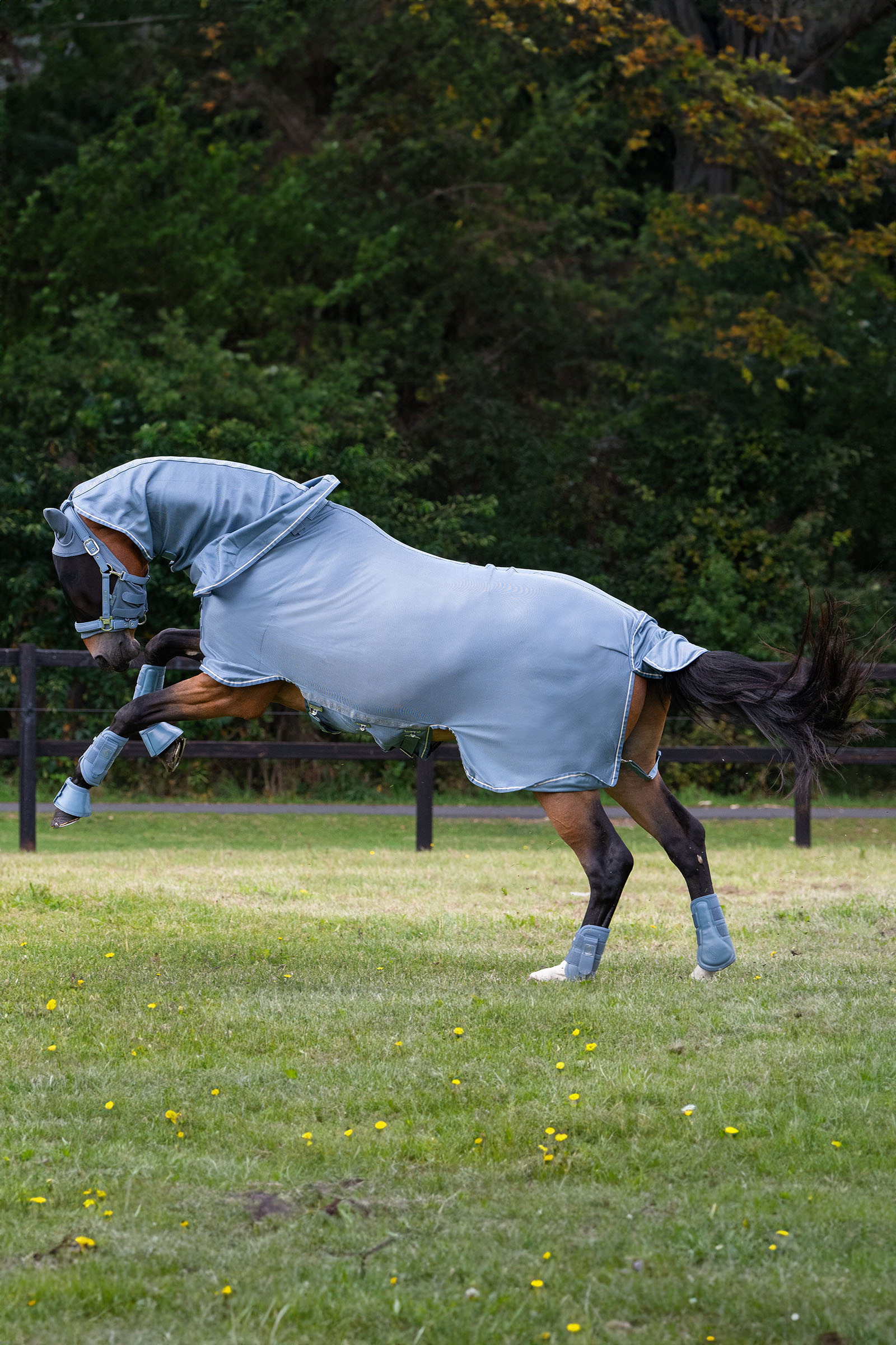 Eskadron Classic Sports SS25 Fly Detach-Neck flugtäcke