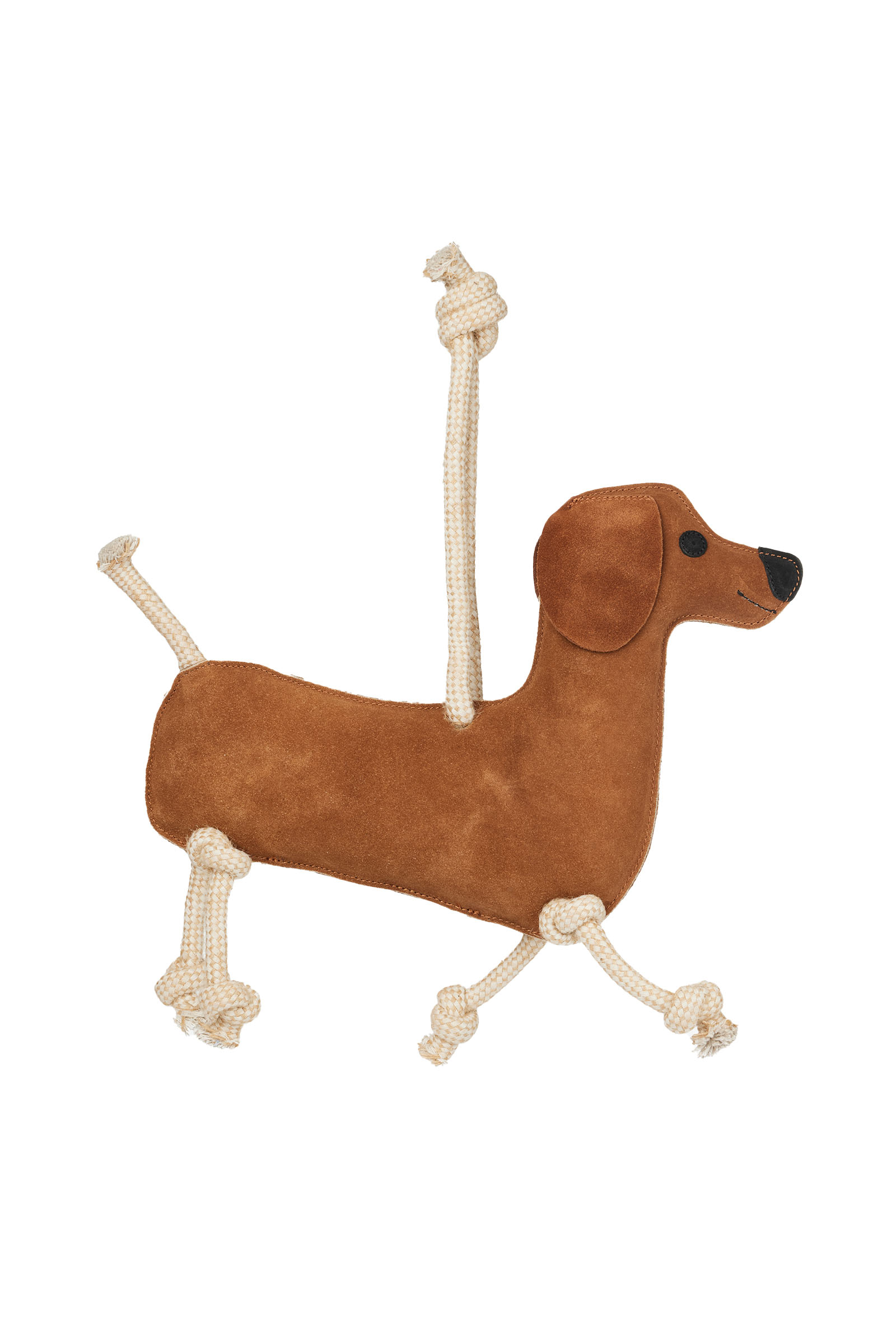 LeMieux hesteleke dachshund