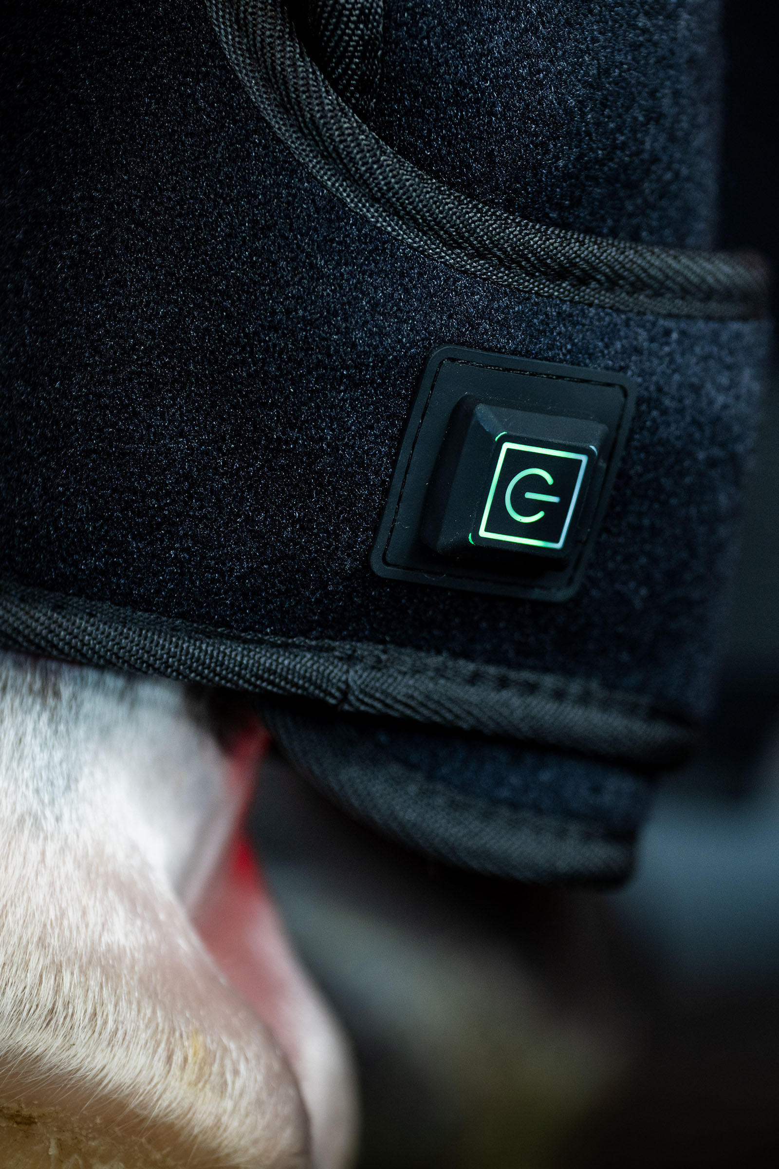 Horseware LED r&oslash;dt lys terapi belegg (1 stk.)