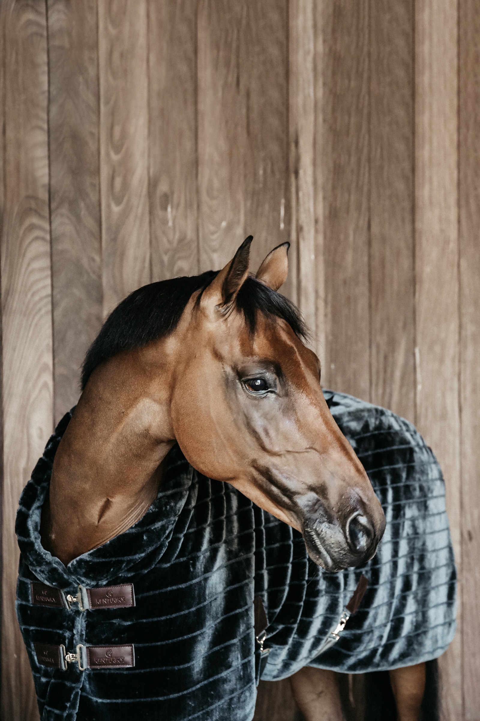 Kentucky Horsewear Fake Fur stalldekken