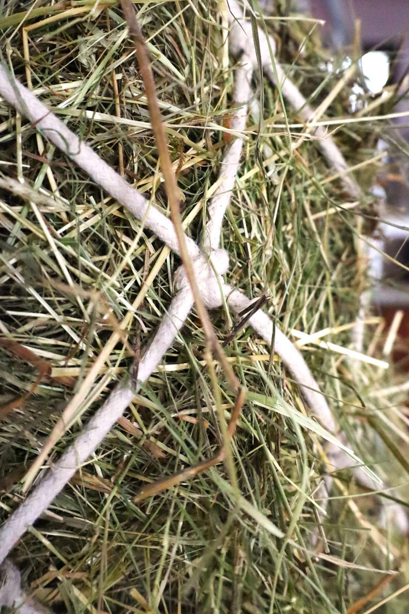 USG h&oslash;ynett i bomull, maskest&oslash;rrelse 10 x 10 cm