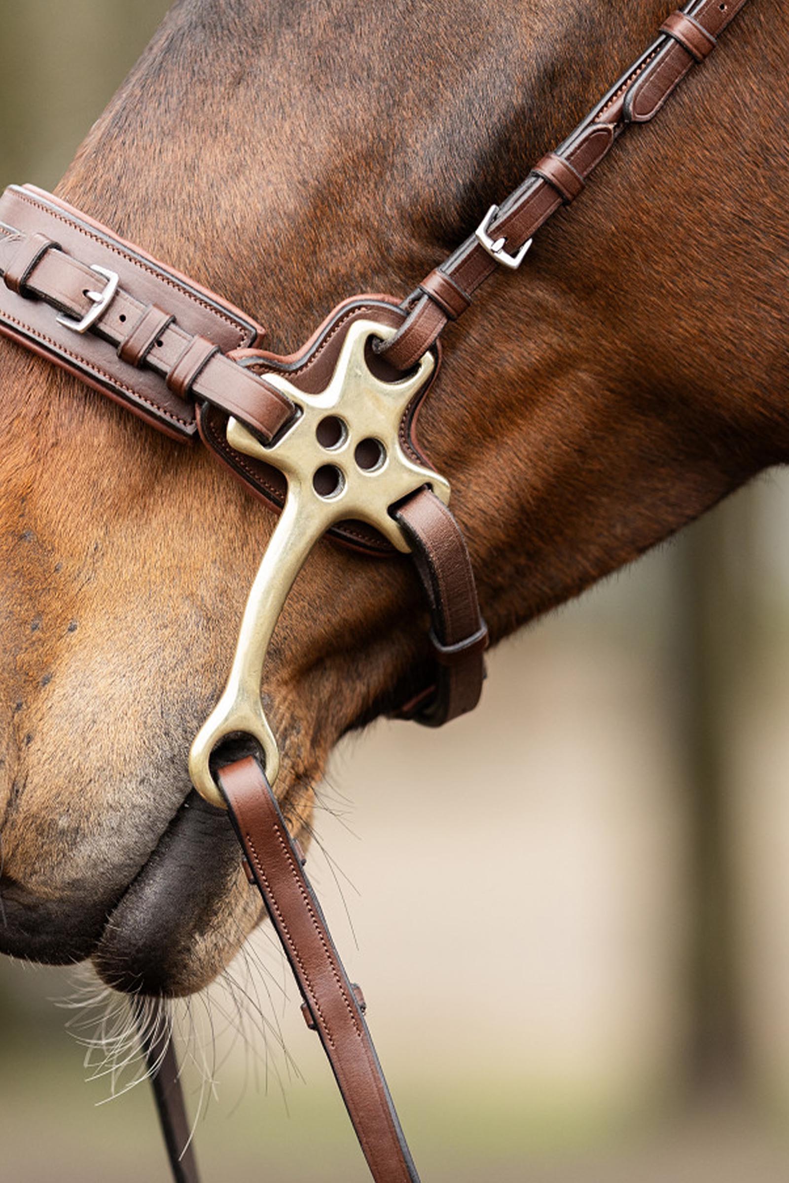 Trust Equestrian Hodelag Sopot Hackamore Hodelag, Kinnstykker 16 cm