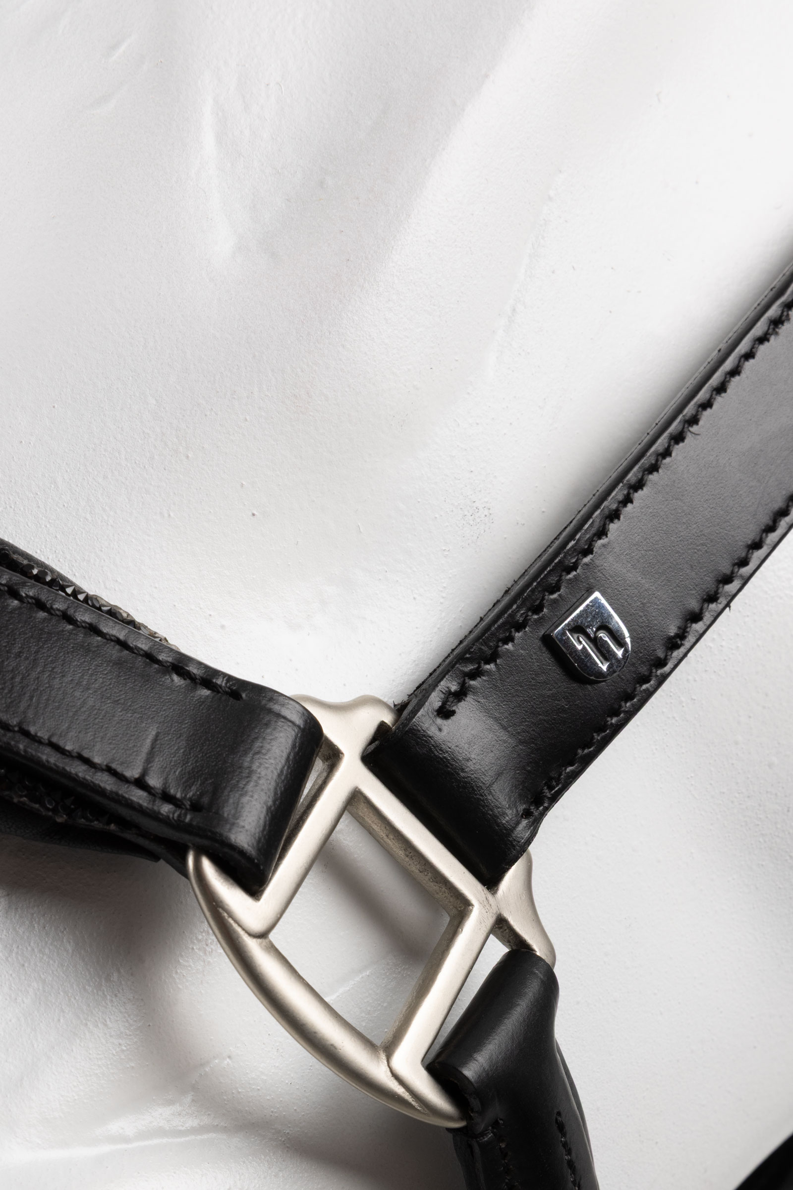 Horze Dynasty Lær grime & leietau set