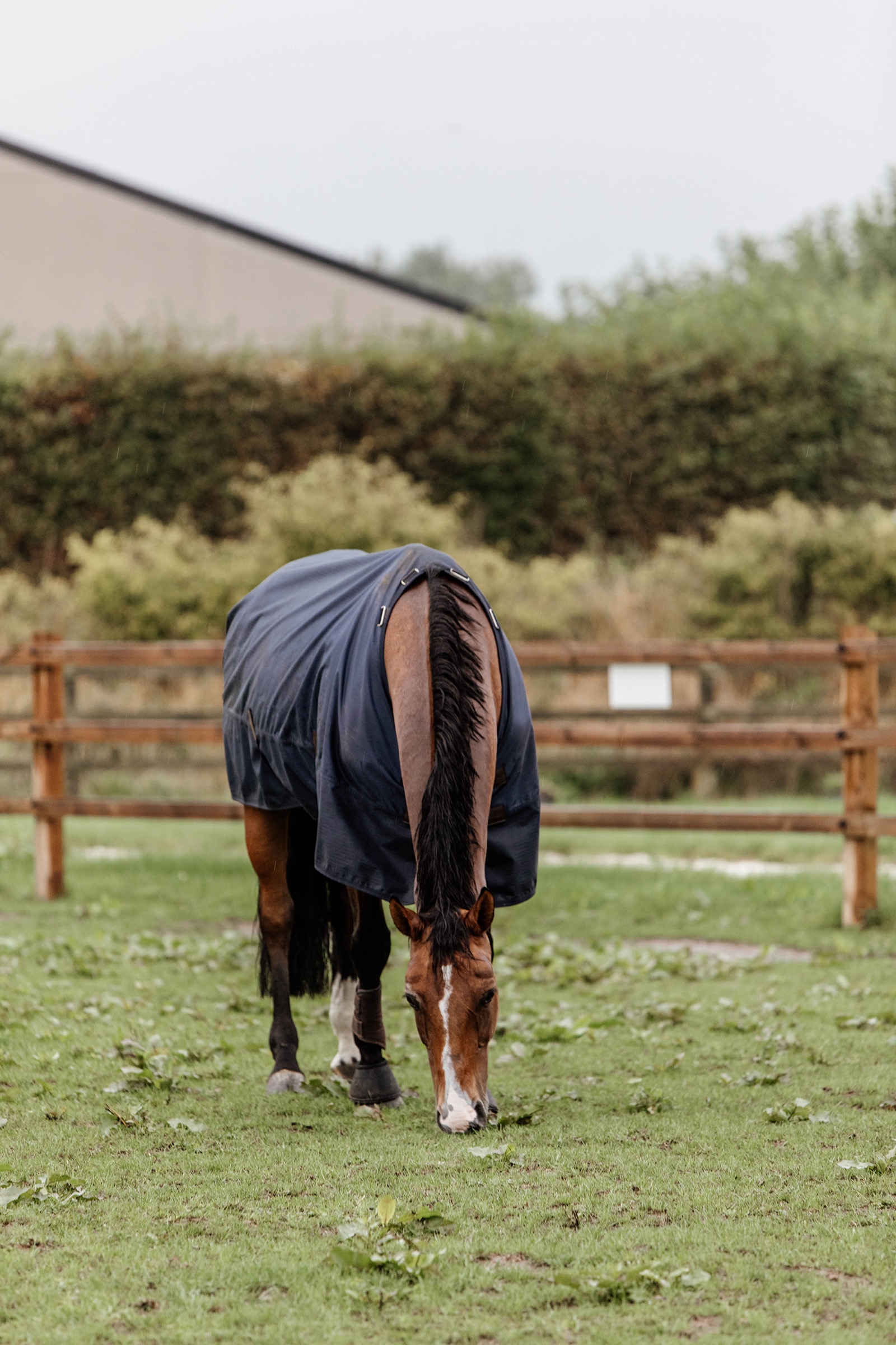 Kentucky Horsewear All Weather utedekken, 300 gram