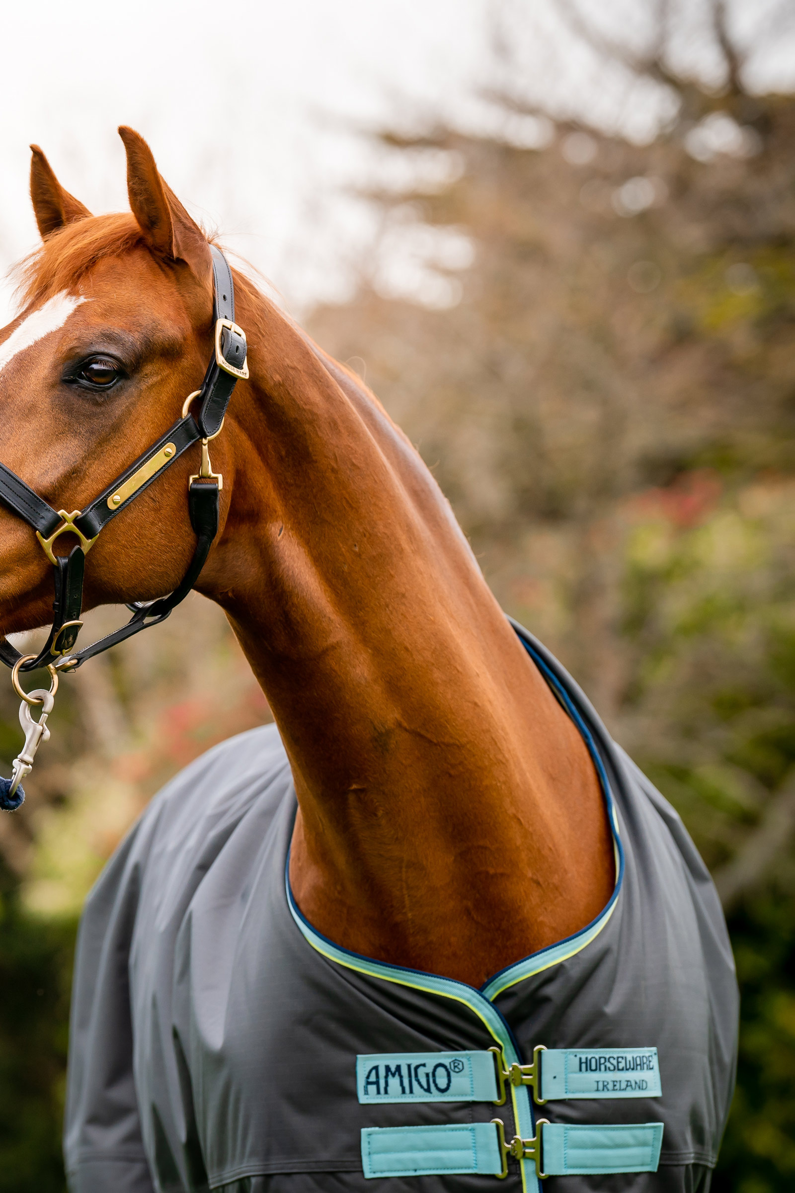 Horseware Amigo Hero Ripstop Plus utedekken med avtakbar hals, 200g