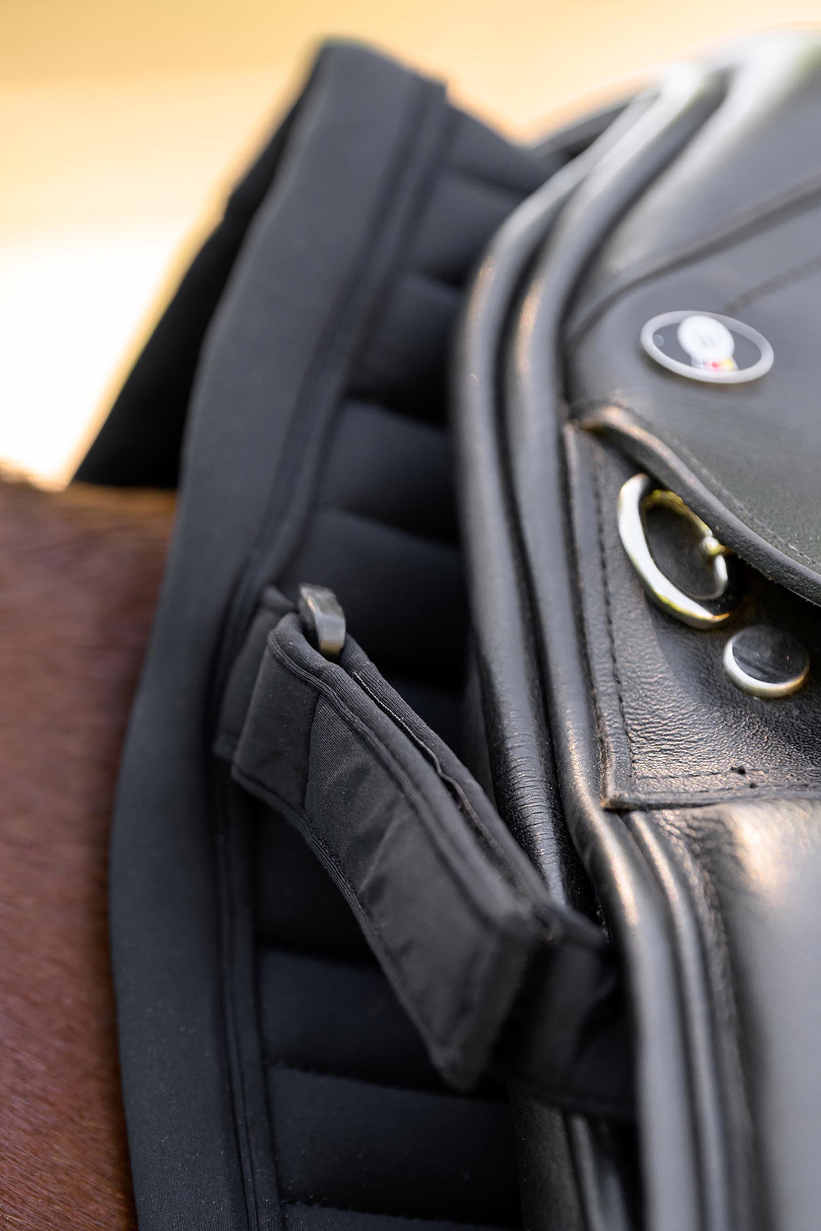 Waldhausen Trinidad dressursjabrak