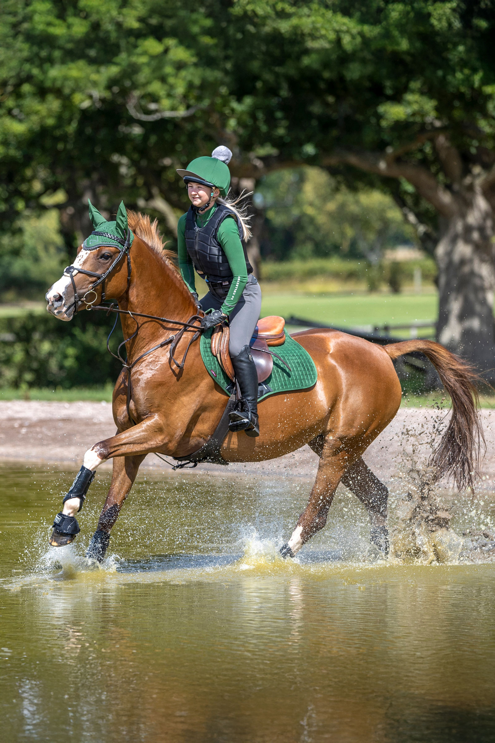 LeMieux Seasonal Luxury CC Sprangsjabrak