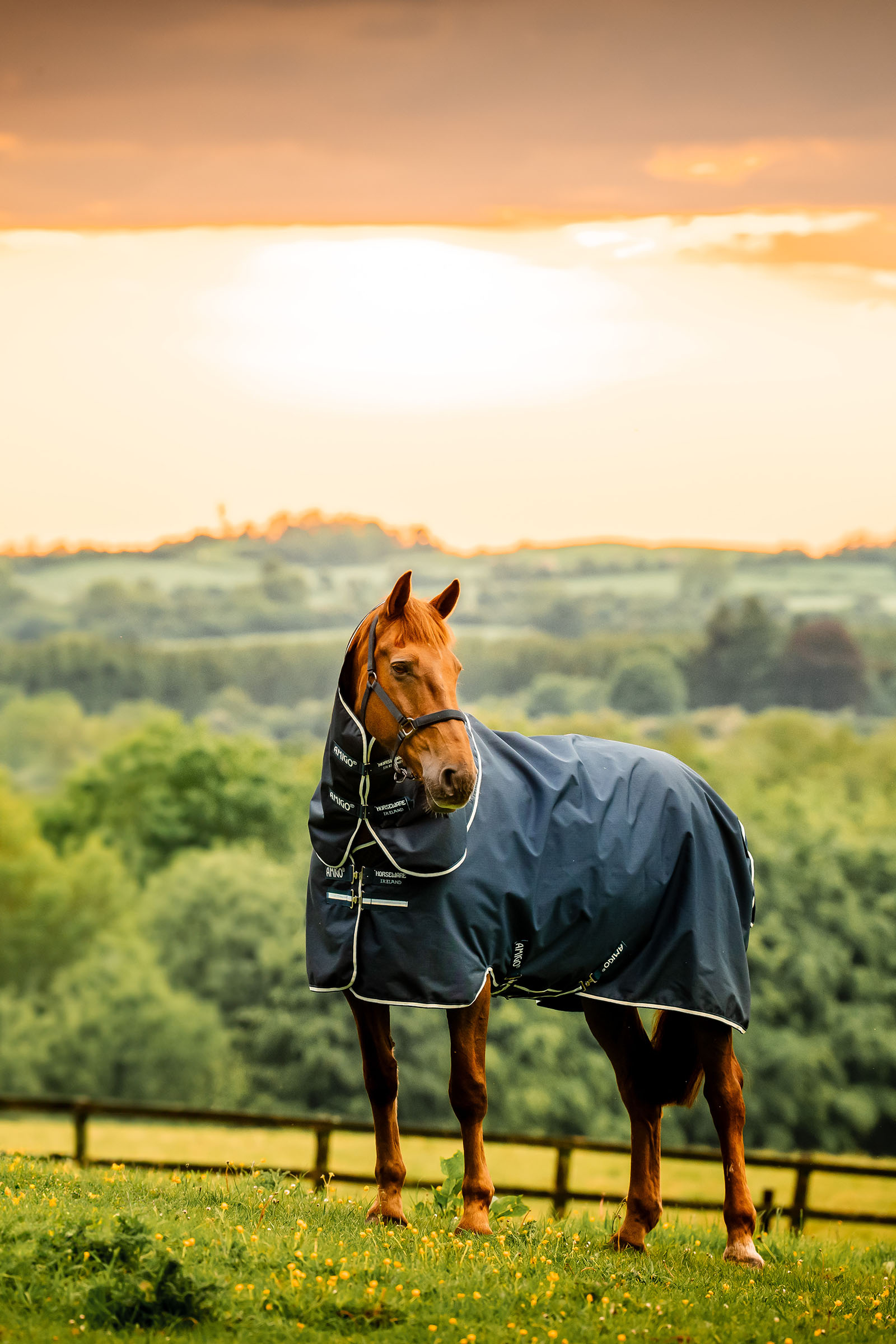 Witney Navy Horseware Amigo Ripstop 900D Plus utedekken med avtakbar halsdel, 100 g