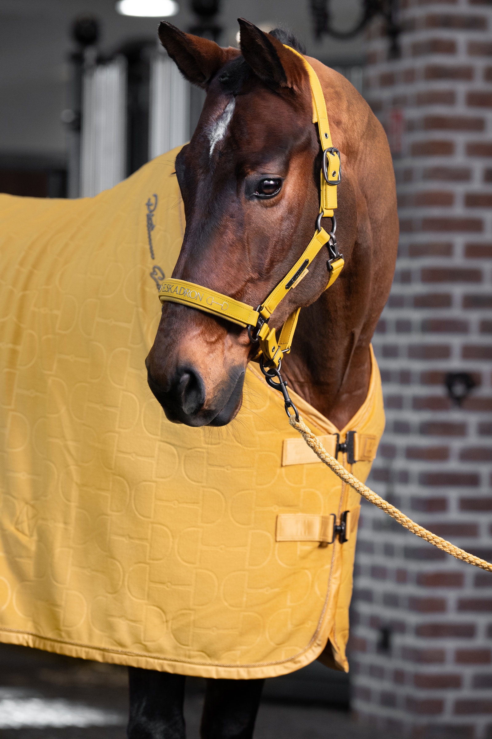 Eskadron Platinum 25 Fleece Stamp Bit Svettedekken