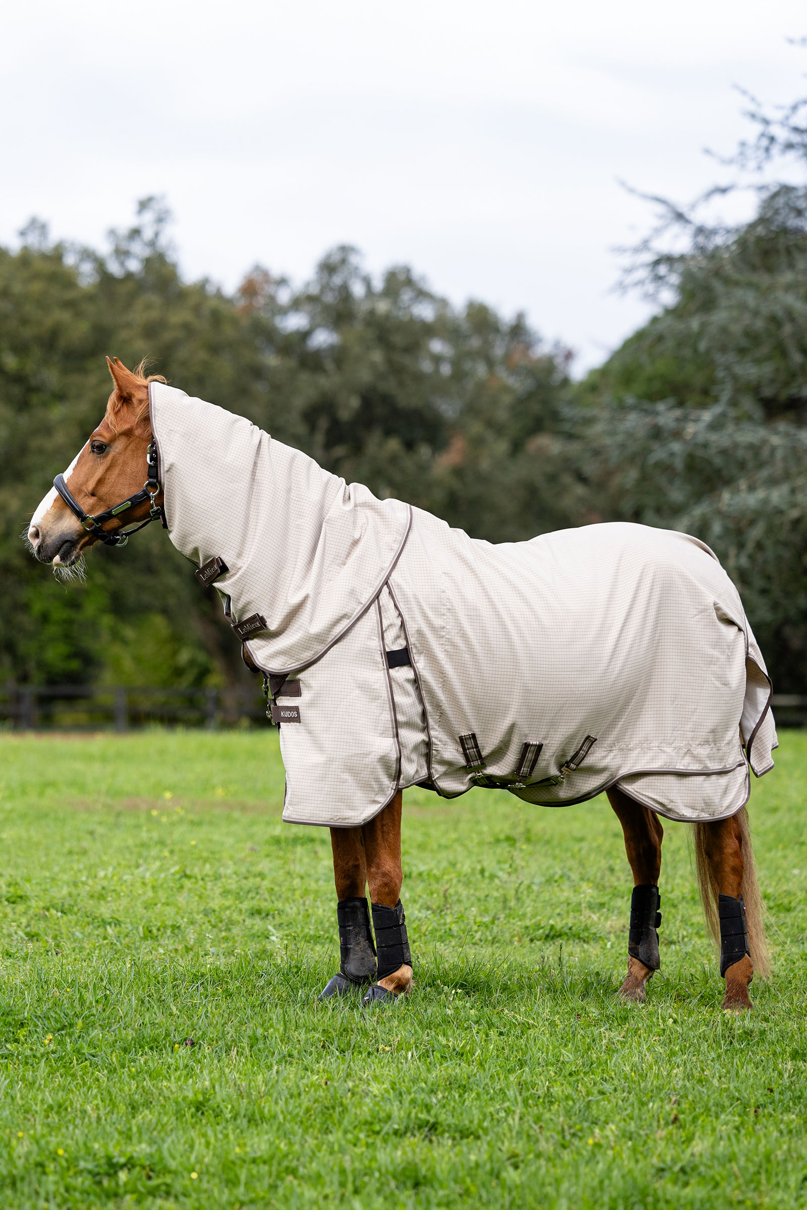 LeMieux Kudos utedekken