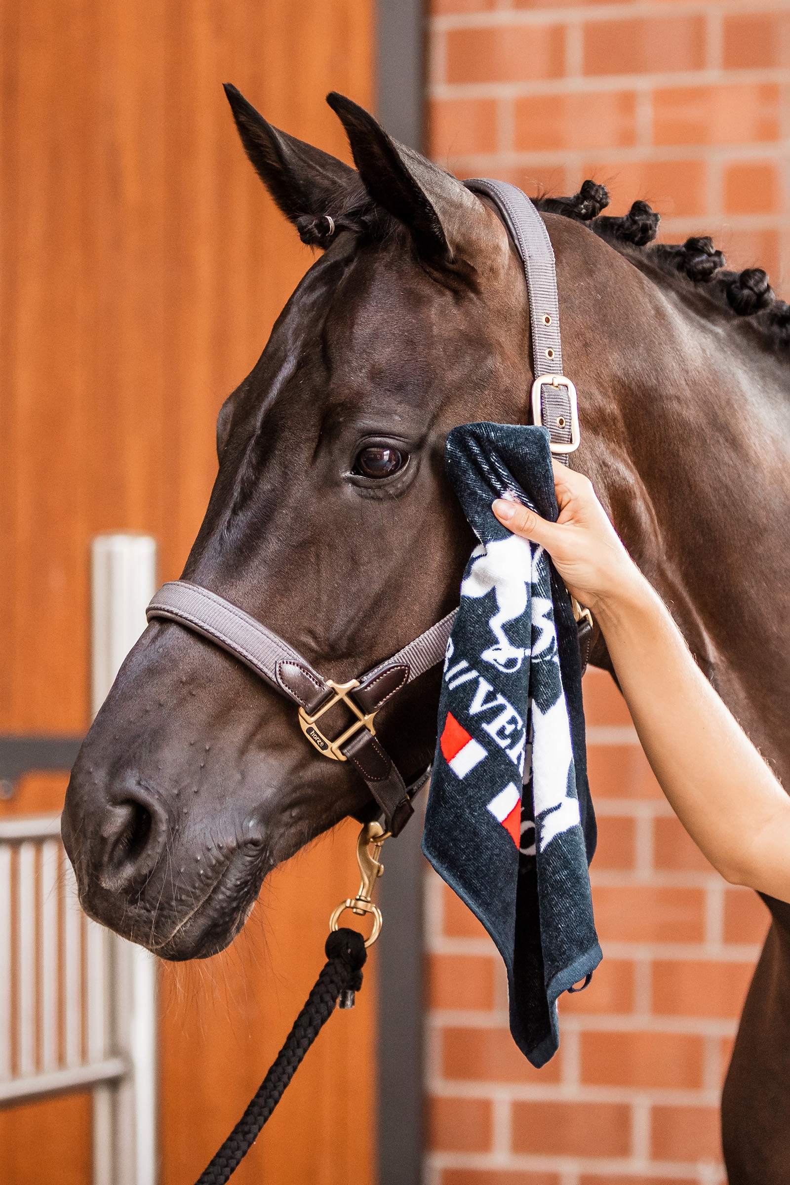 B Vertigo h&aring;nd-h&aring;ndkle