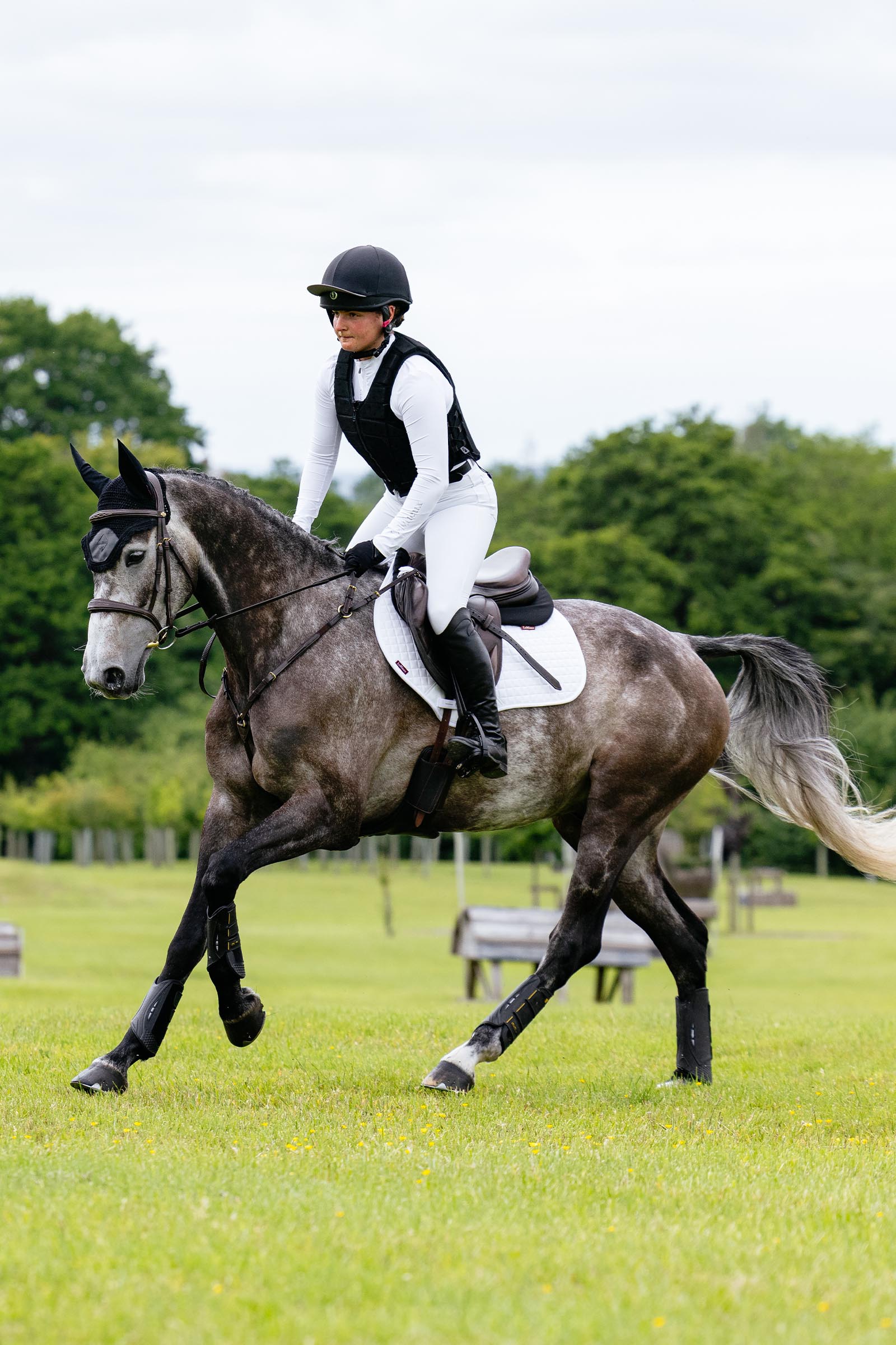 LeMieux Suede Close Contact sprangsjabrak