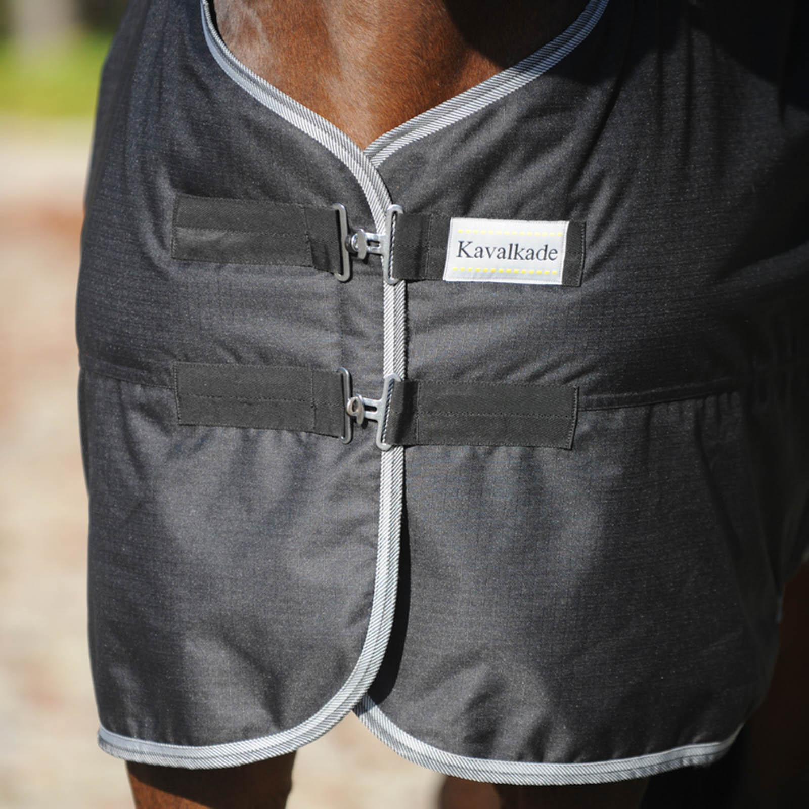 Kavalkade Winnipeg utedekken, 50 gram