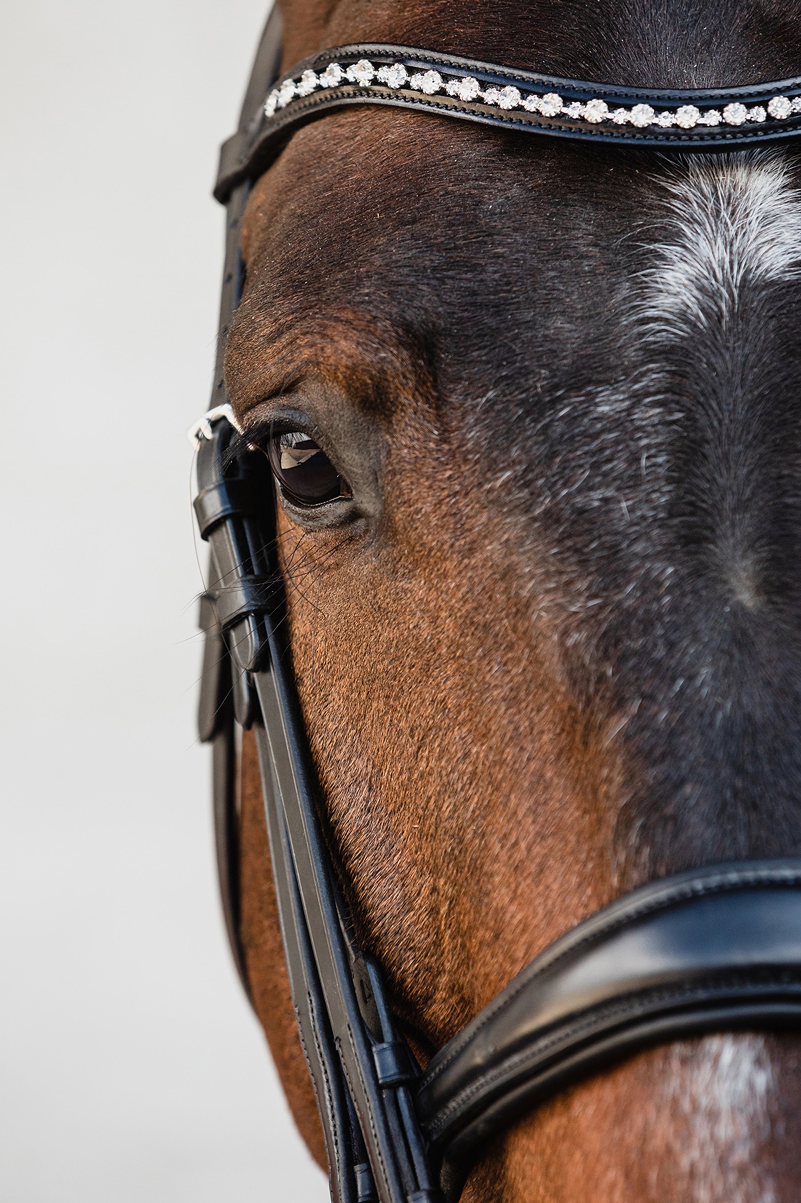 Schockem&ouml;hle Sports Milton Anatomisk Kandarhodelag